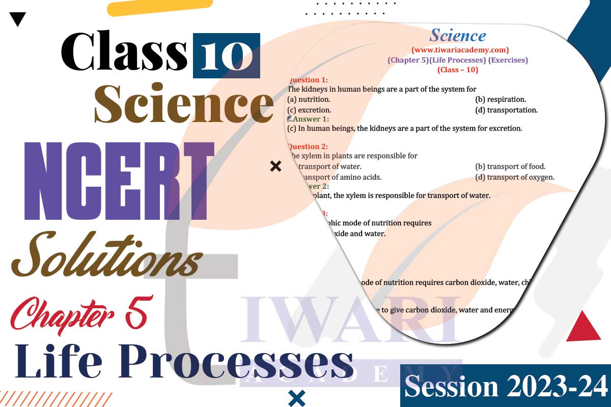 Class 10 Science Chapter 5