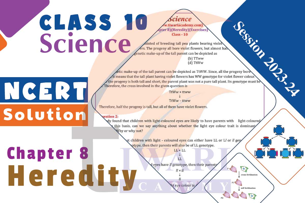 Class 10 Science Chapter 8