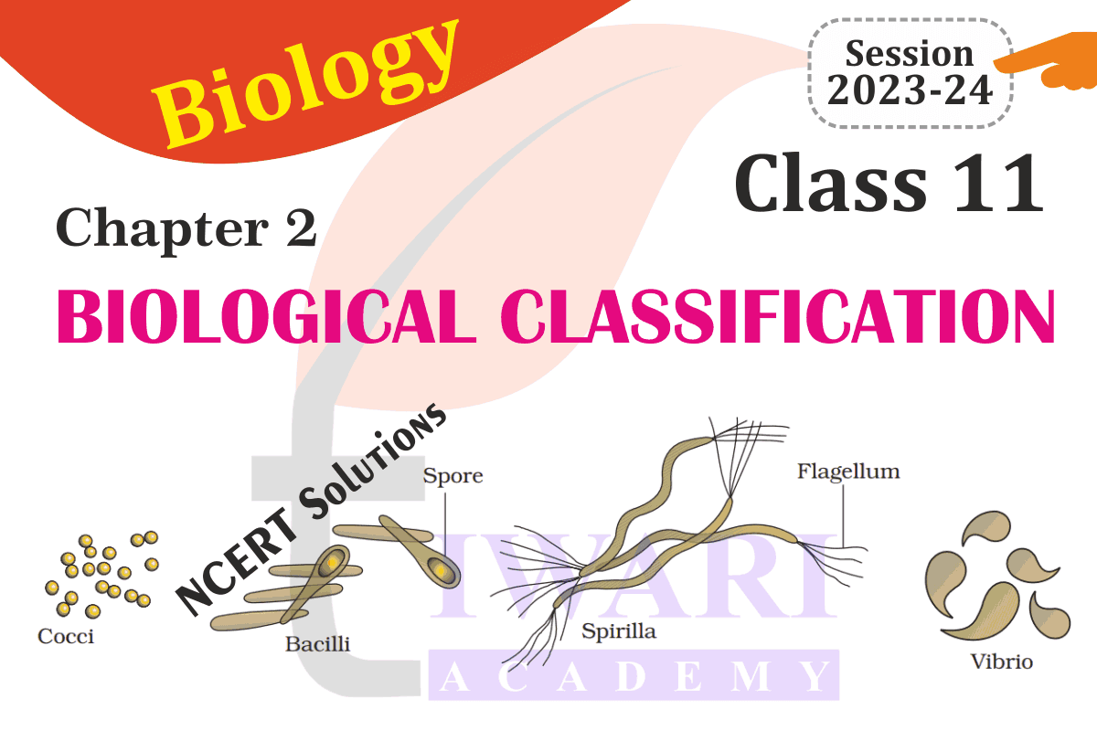 Class 11 Biology Chapter 2 Biological Classification