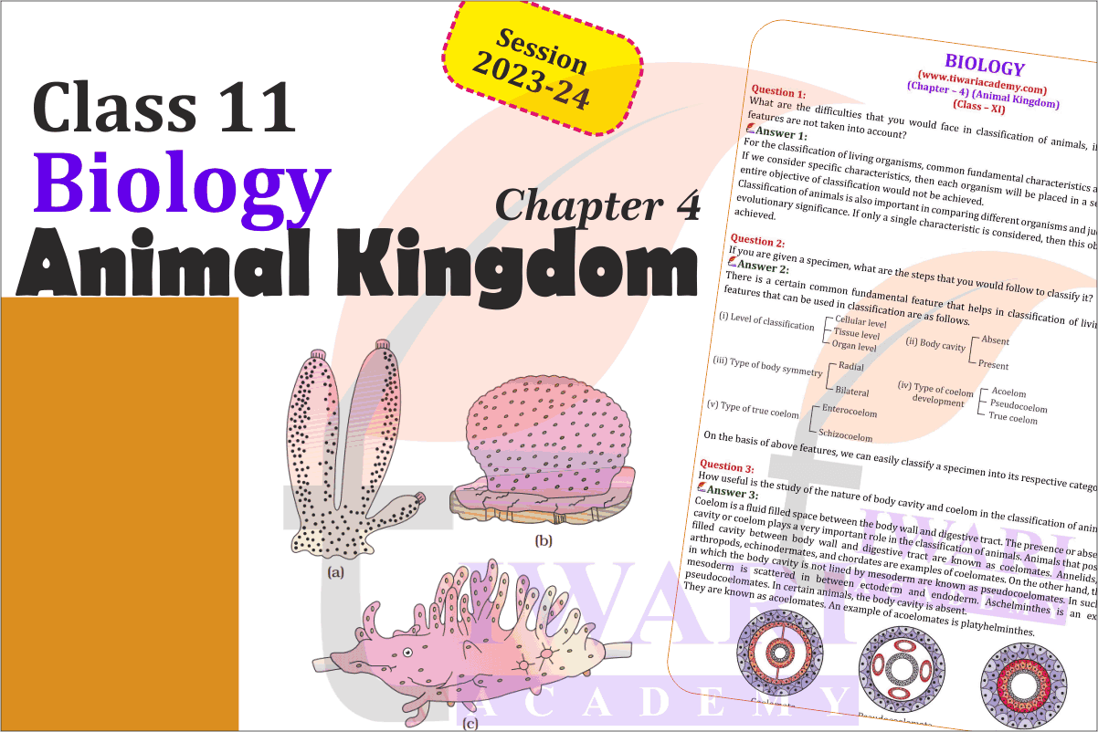 NCERT Solutions for Class 11 Biology Chapter 4 Animal Kingdom