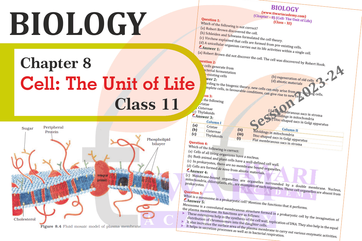 NCERT Solutions for Class 11 Biology Chapter 8 Cell The Unit of Life