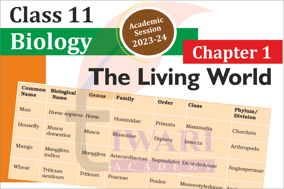 Class 11 Biology Chapter 1 The Living World