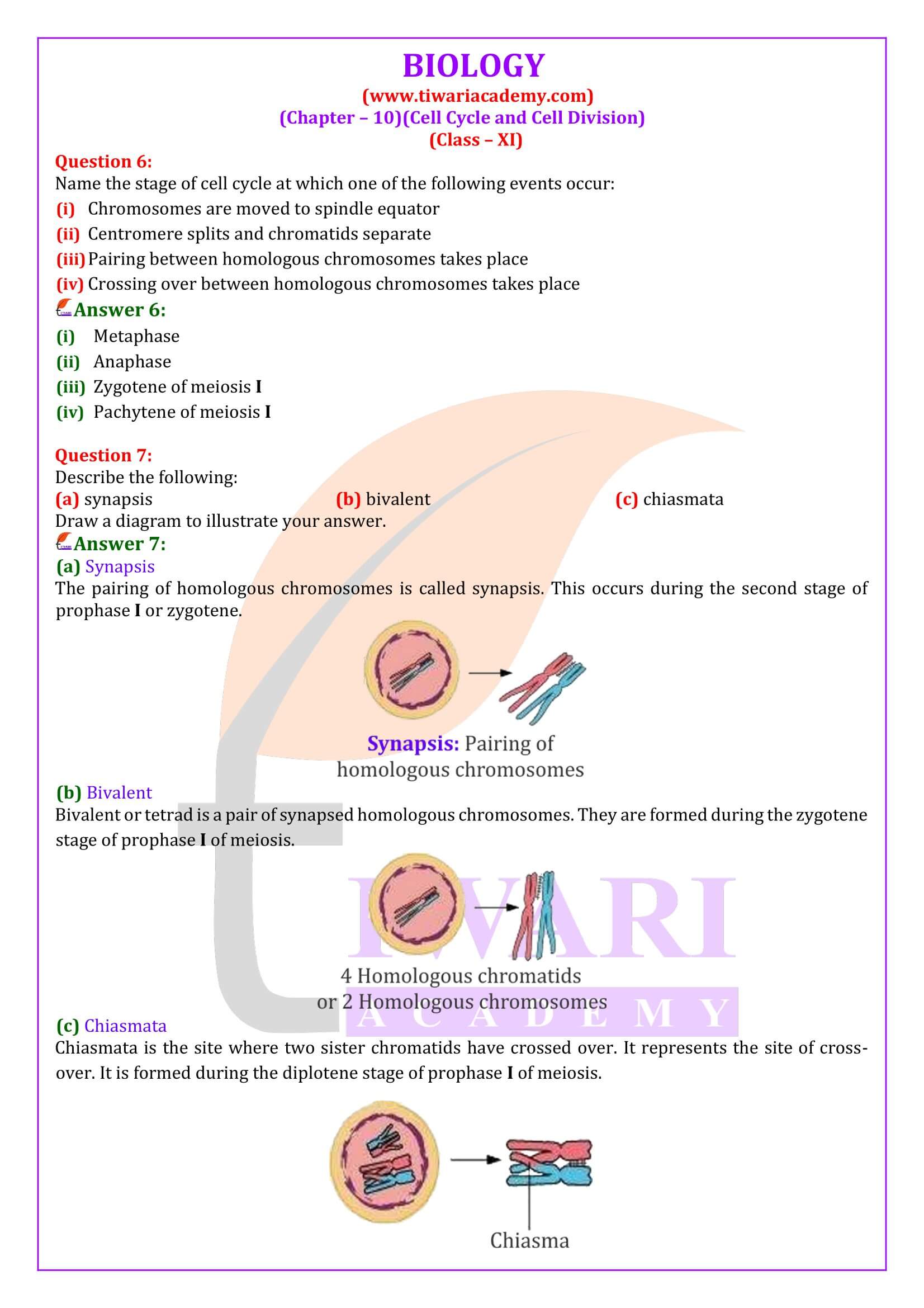 Class 11 Biology Chapter 10