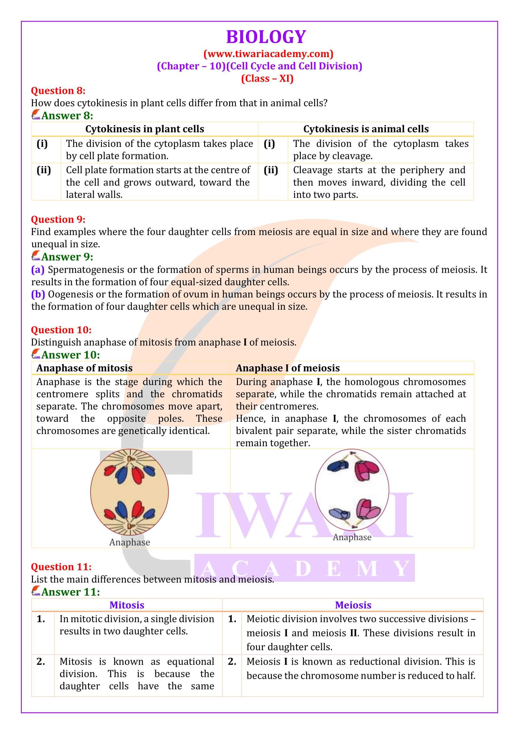 Class 11 Biology Chapter 10 Exercises Answers