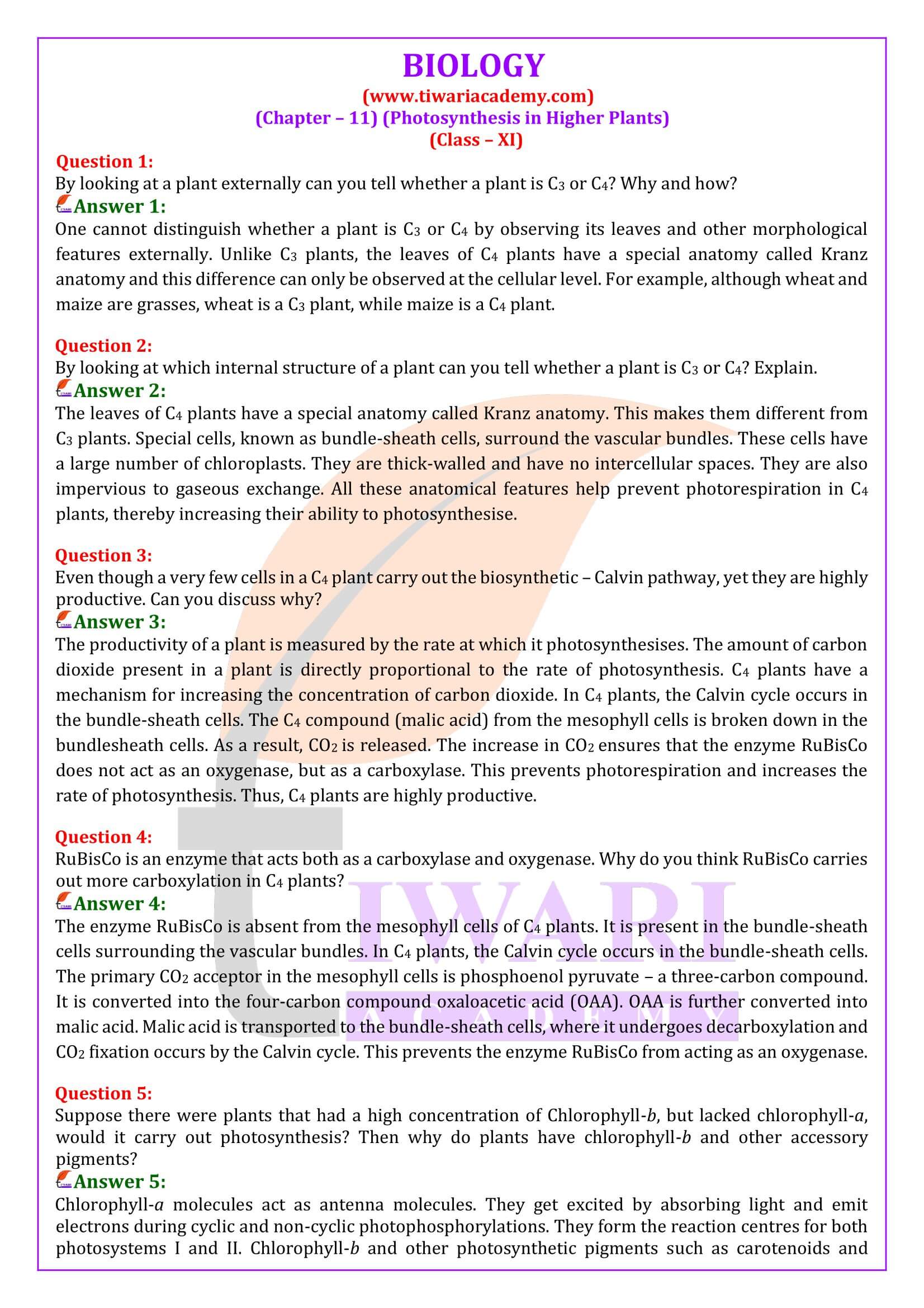 NCERT Solutions for Class 11 Biology Chapter 11