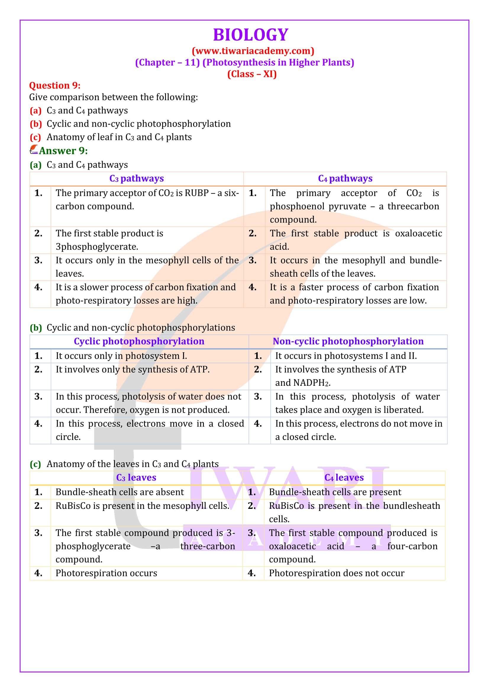 Class 11 Biology Chapter 11