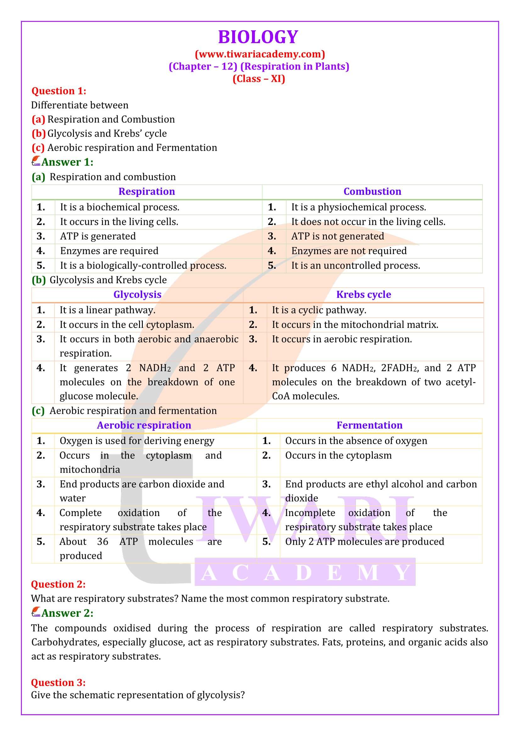 NCERT Solutions for Class 11 Biology Chapter 12