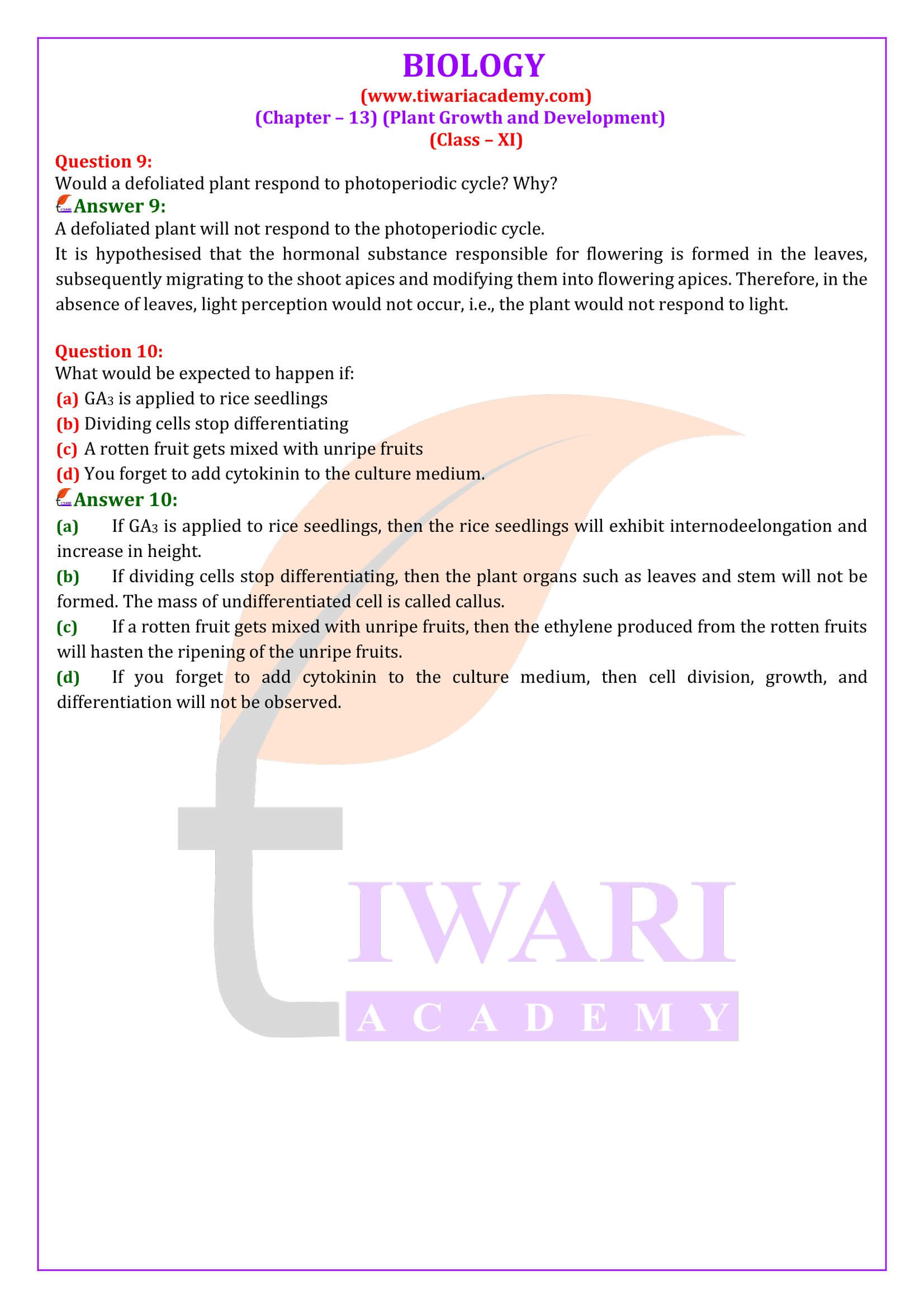 Class 11 Biology Chapter 13 Solutions