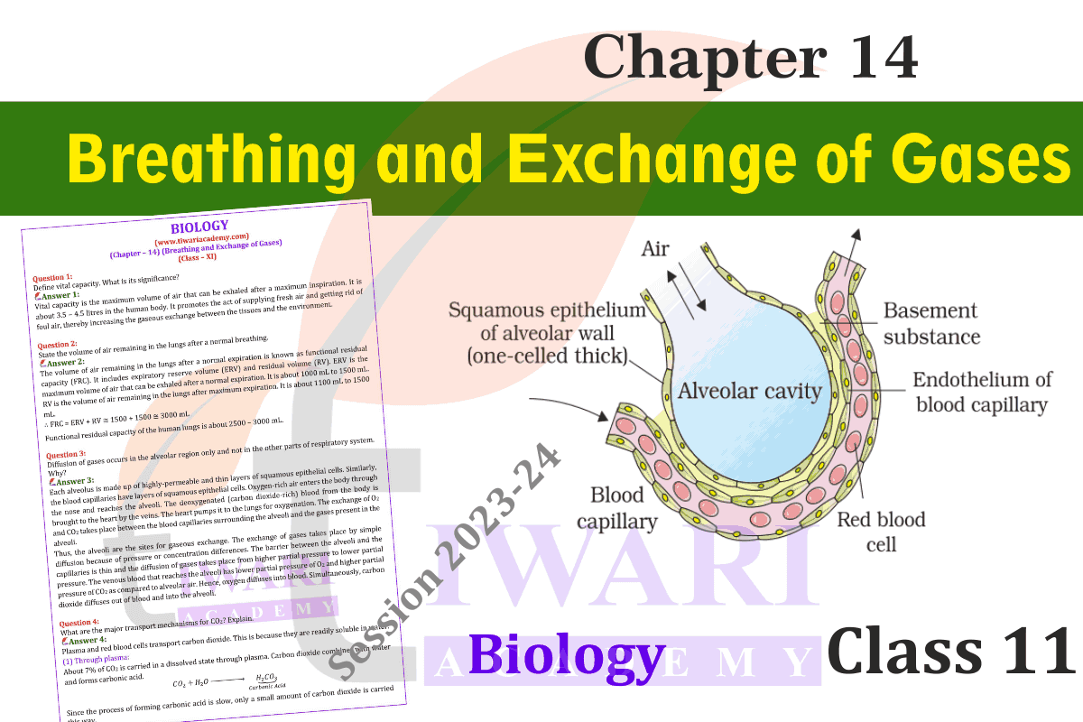 Class 11 Biology Chapter 14 in English