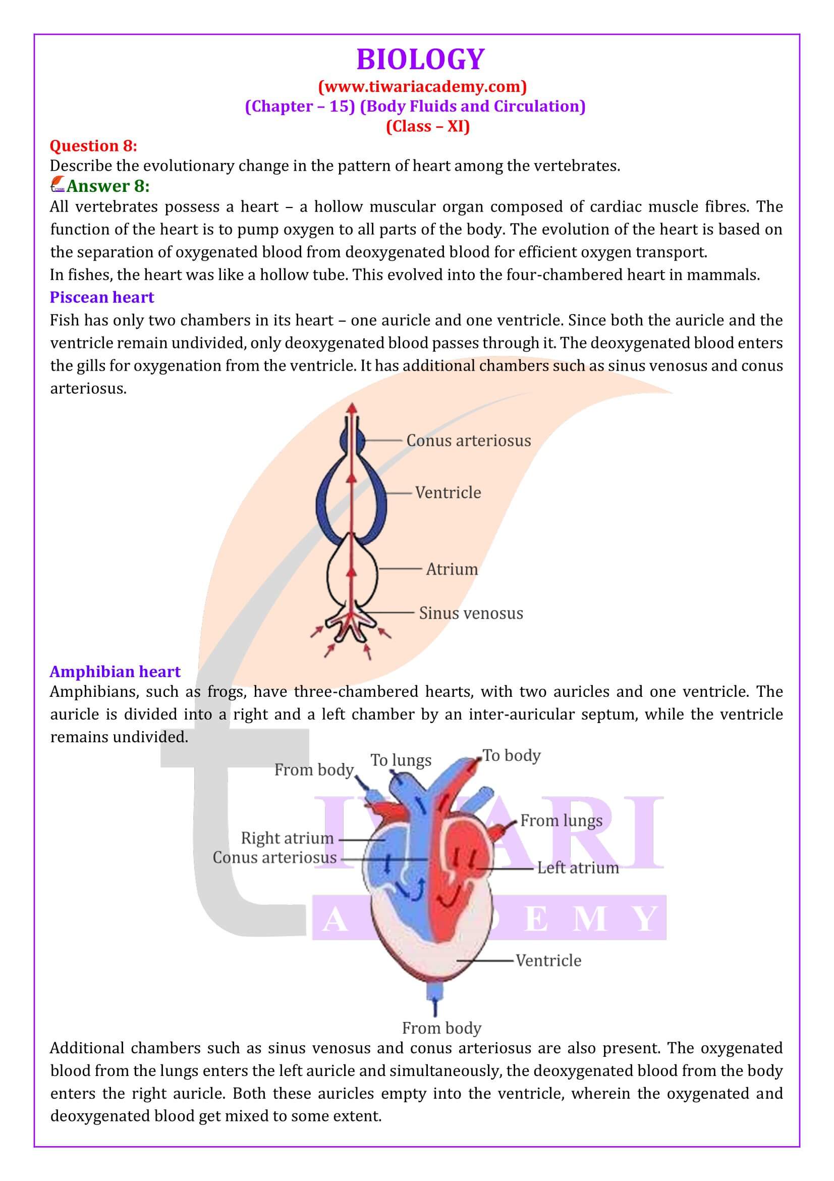 Class 11 Biology Chapter 15 Solutions