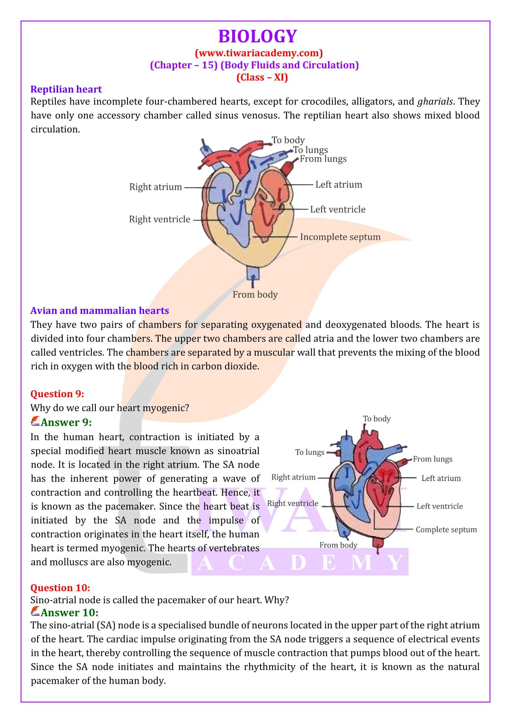 Class 11 Biology Chapter 15 Question Answers