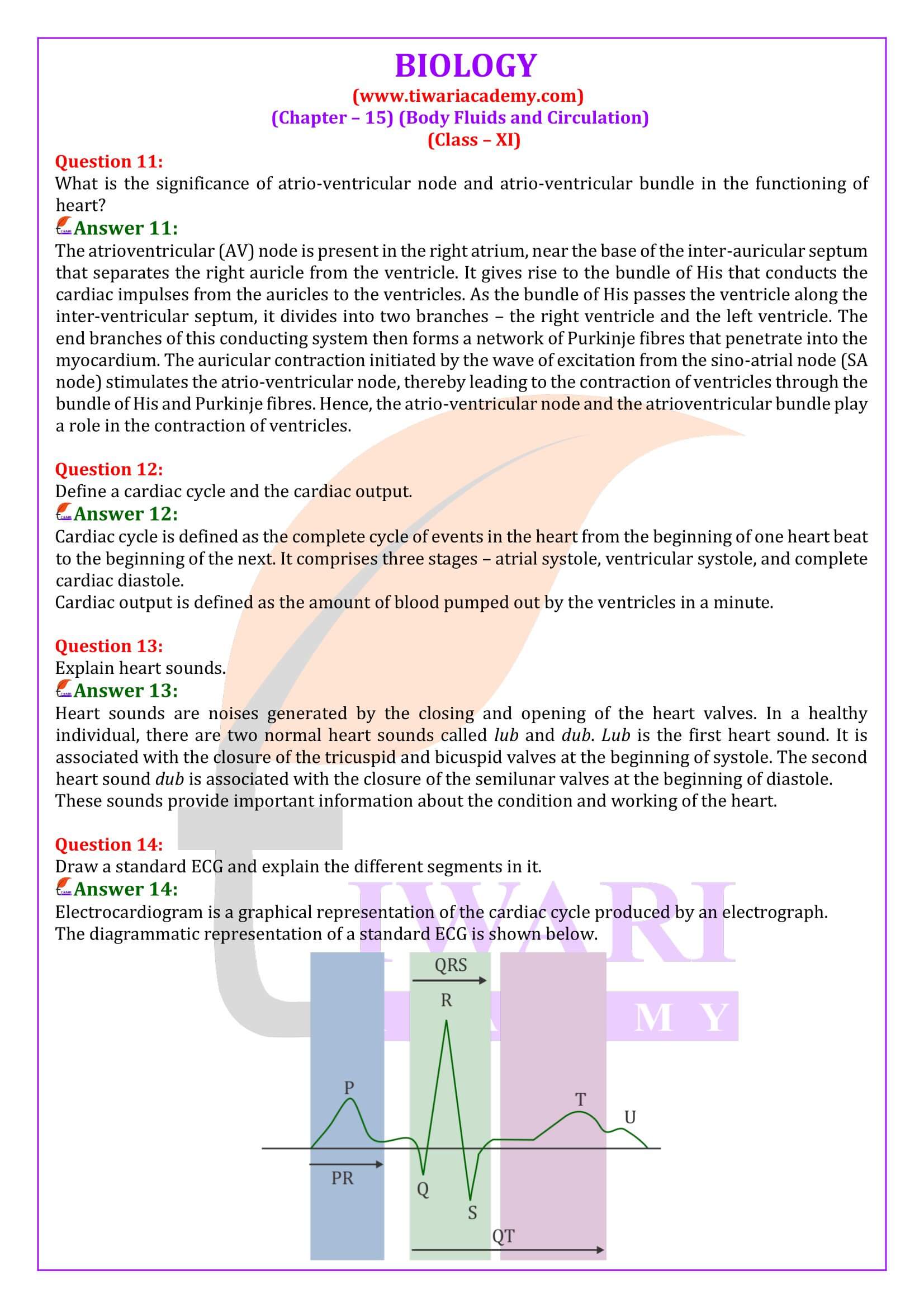 Class 11 Biology Chapter 15 Exercises Answers