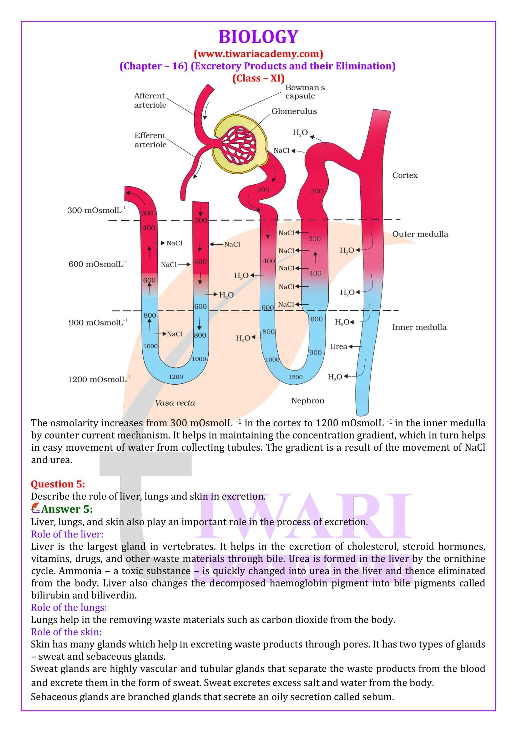 Class 11 Biology Chapter 16 Excretory Products and their Elimination