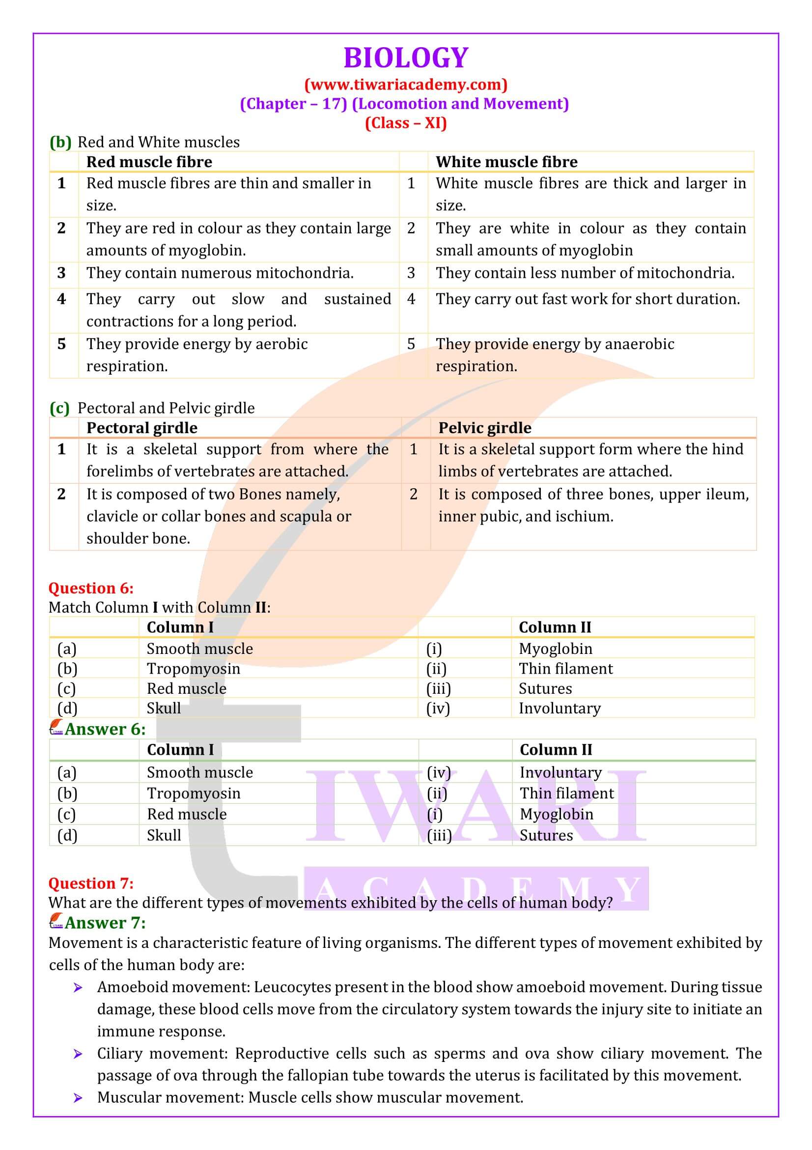 NCERT Solutions for Class 11 Biology Chapter 17 in English Medium