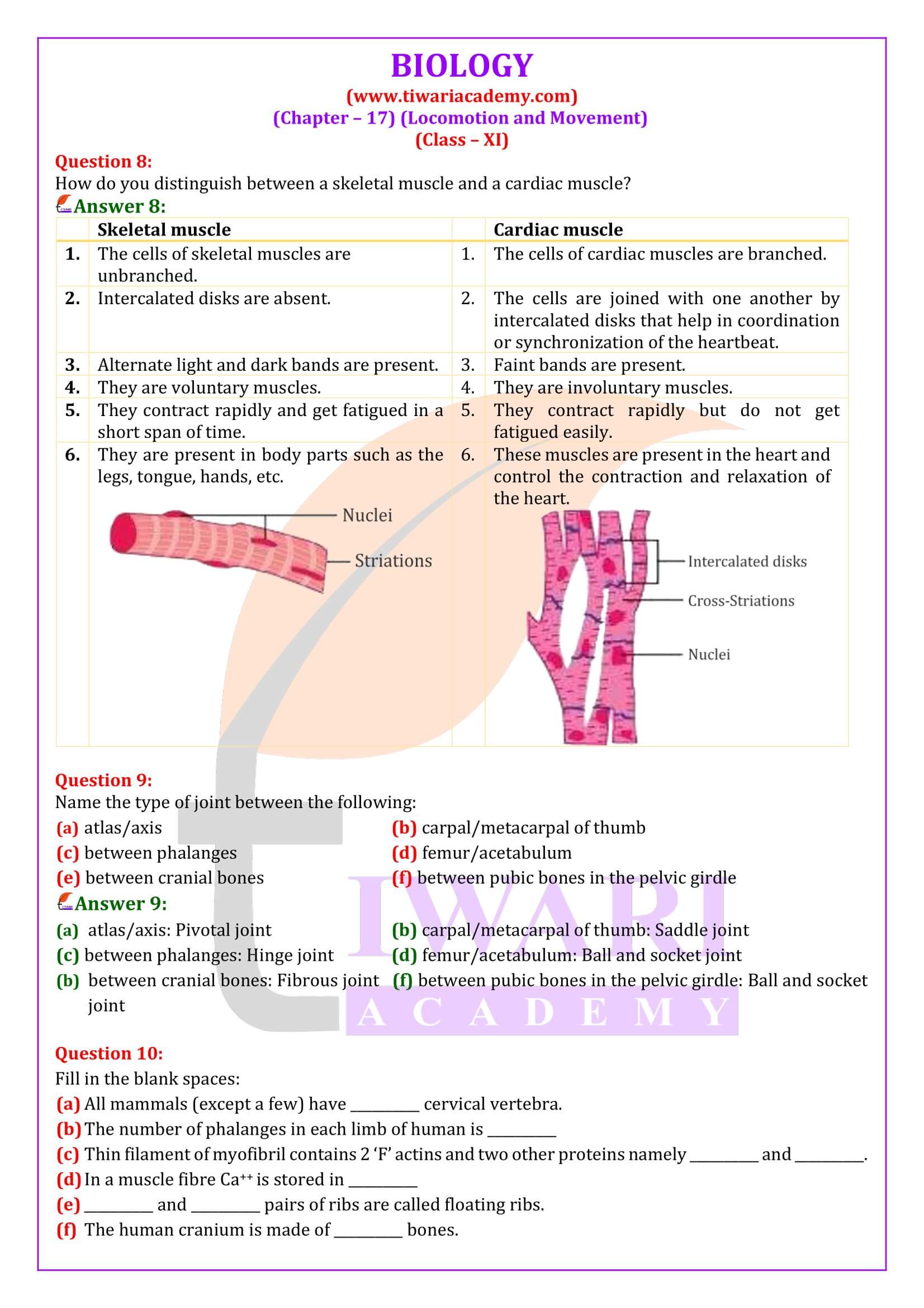 Class 11 Biology Chapter 17