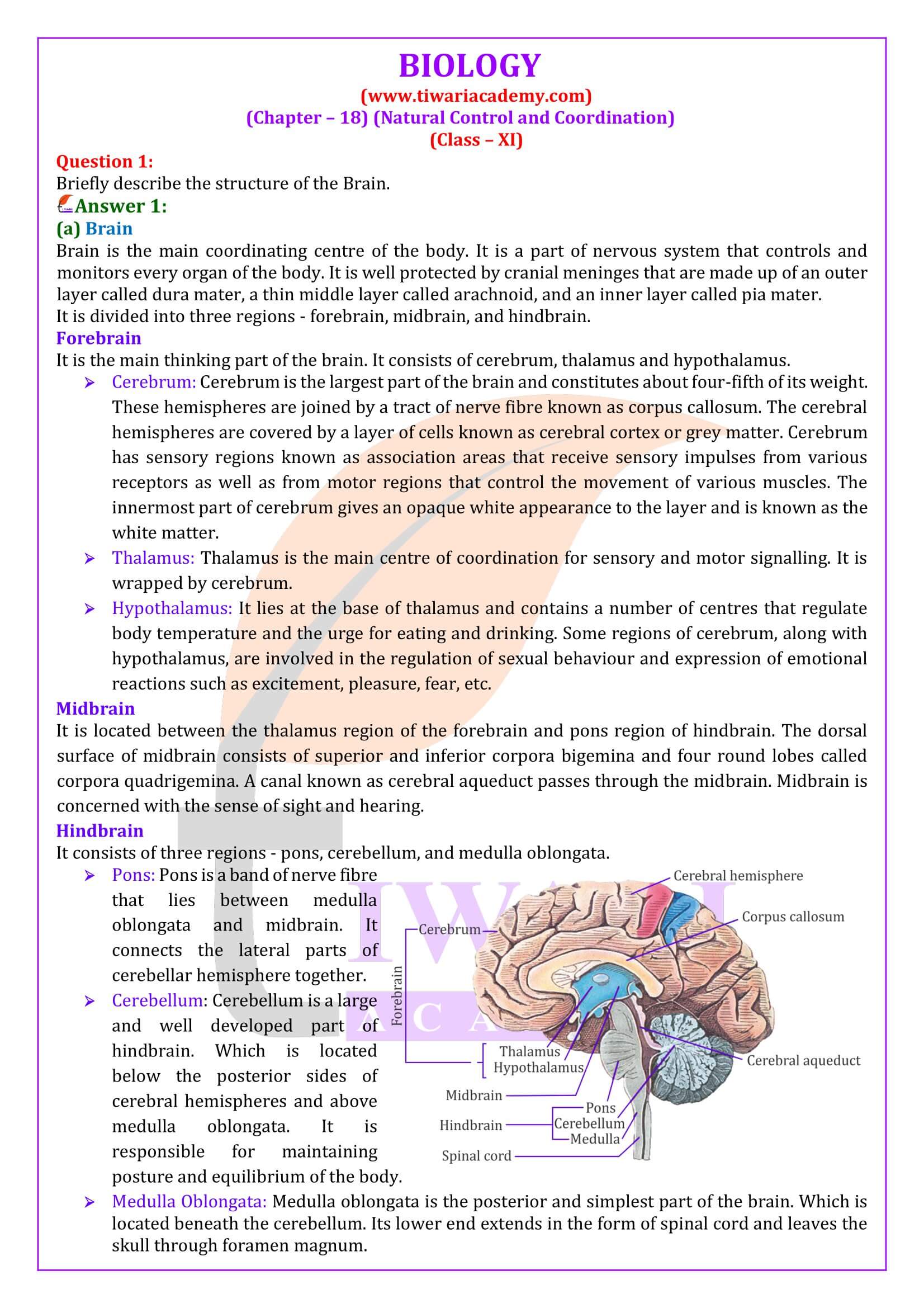 NCERT Solutions for Class 11 Biology Chapter 18