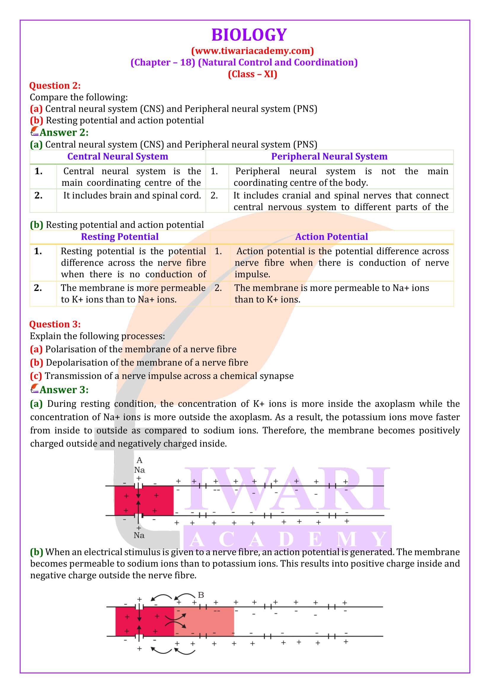 Class 11 Biology Chapter 18 Neural Control and Coordination