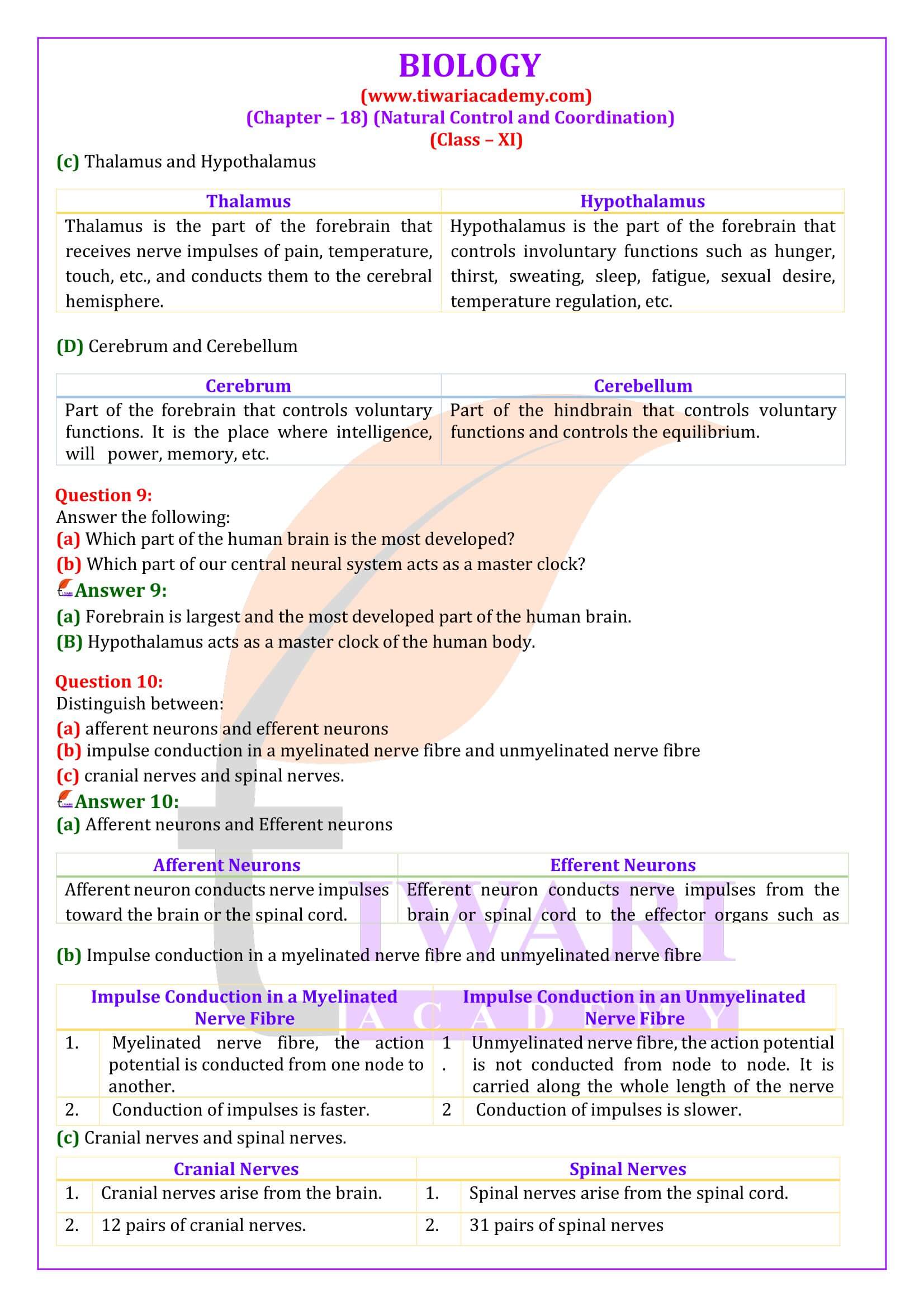 Class 11 Biology Chapter 18 Exercises Answers