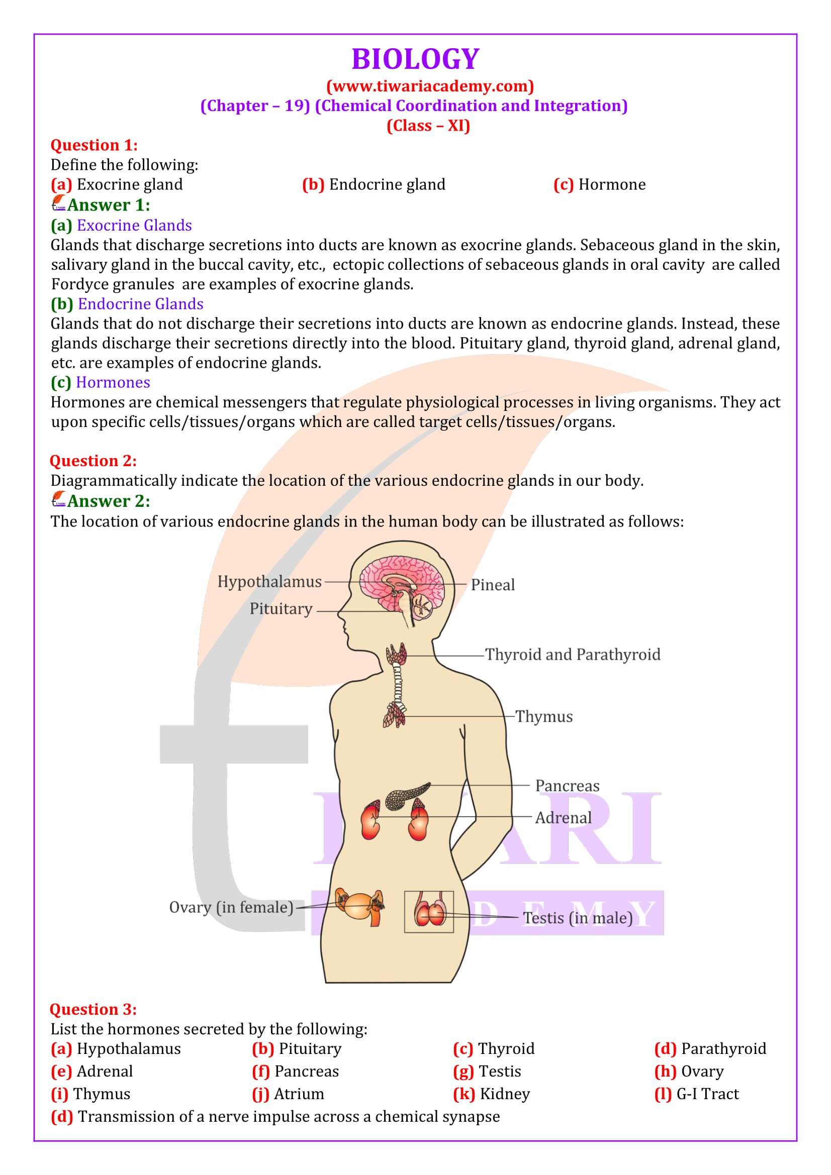 NCERT Solutions for Class 11 Biology Chapter 19