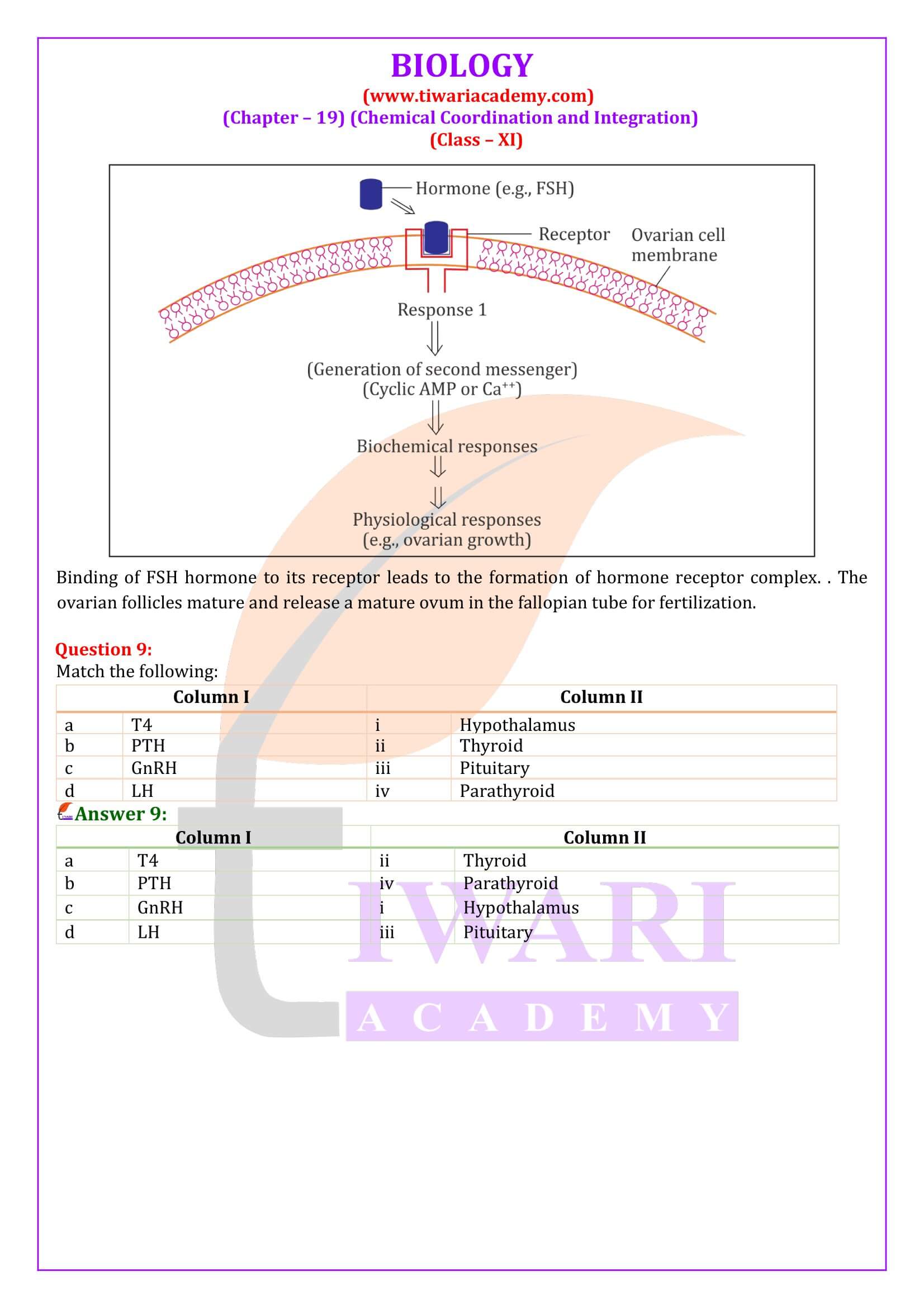 Class 11 Biology Chapter 19 Answers