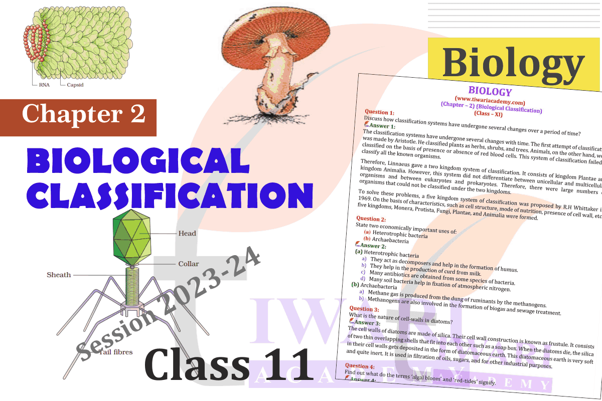 11th Biology Chapter 2 Biological Classification