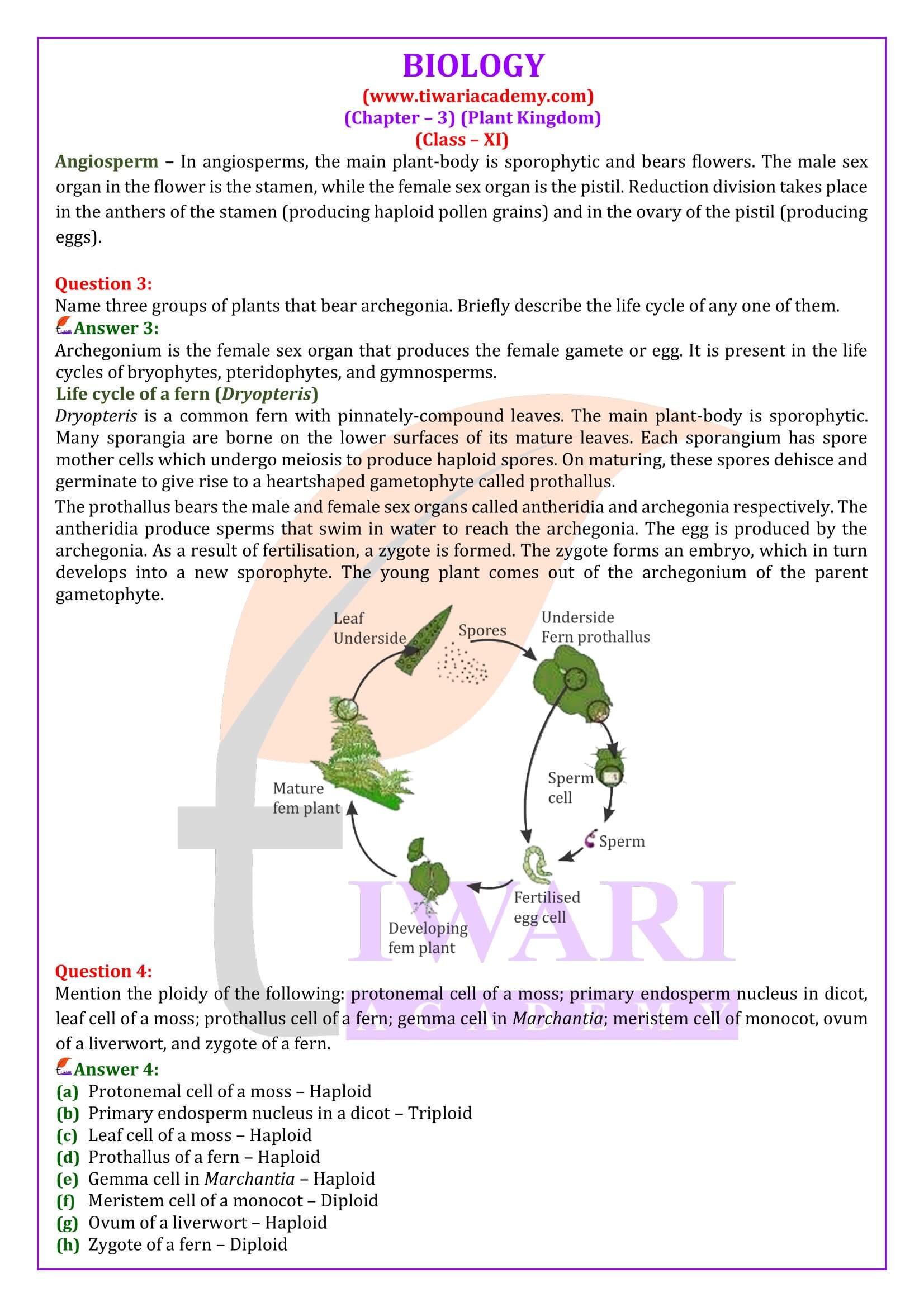 Class 11 Biology Chapter 3 in English Medium