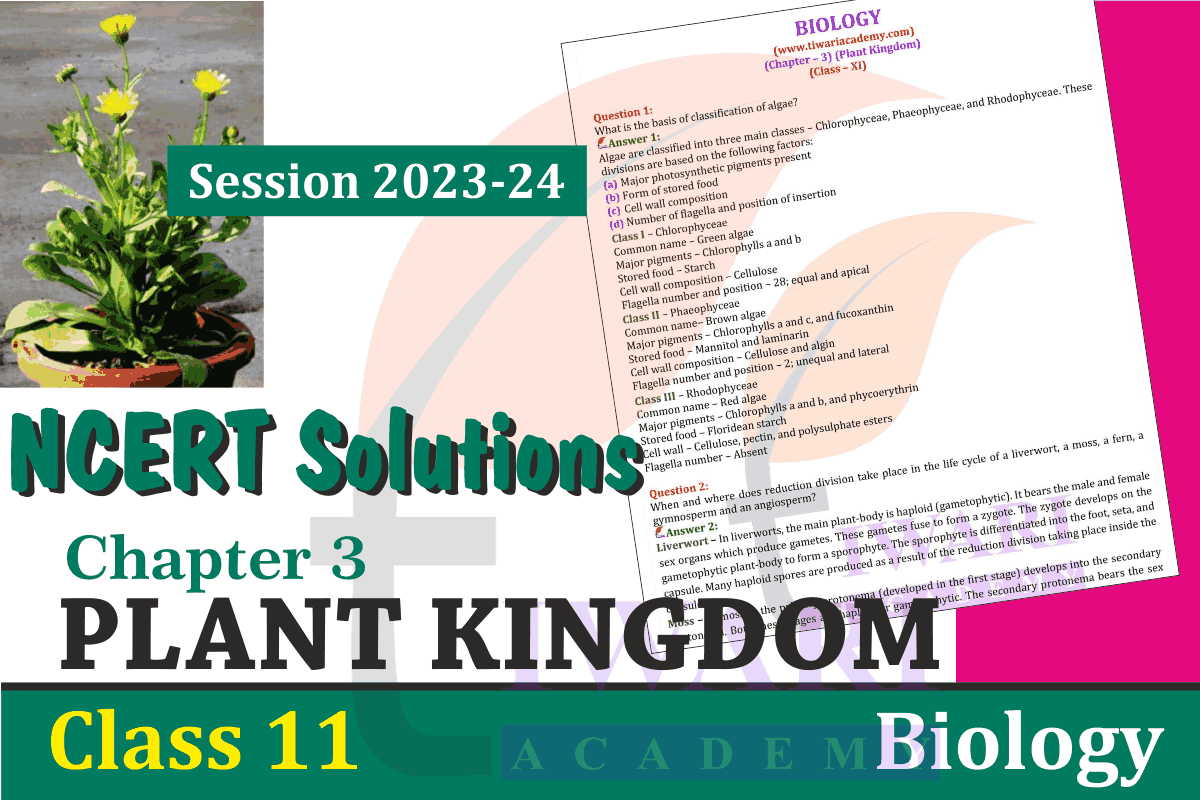 Class 11 Biology Chapter 3 Plant Kingdom