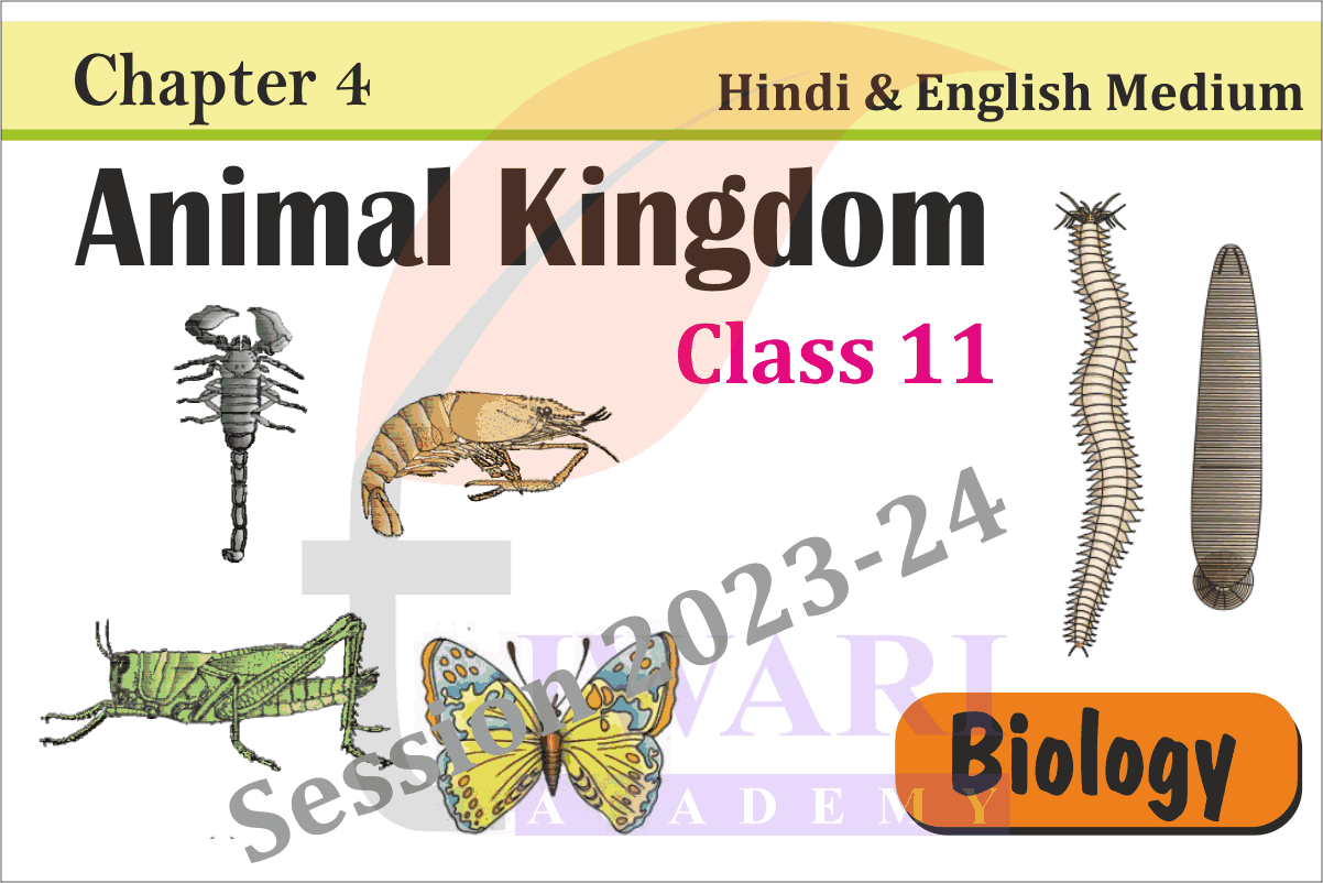 NCERT Solutions for Class 11 Biology Chapter 4