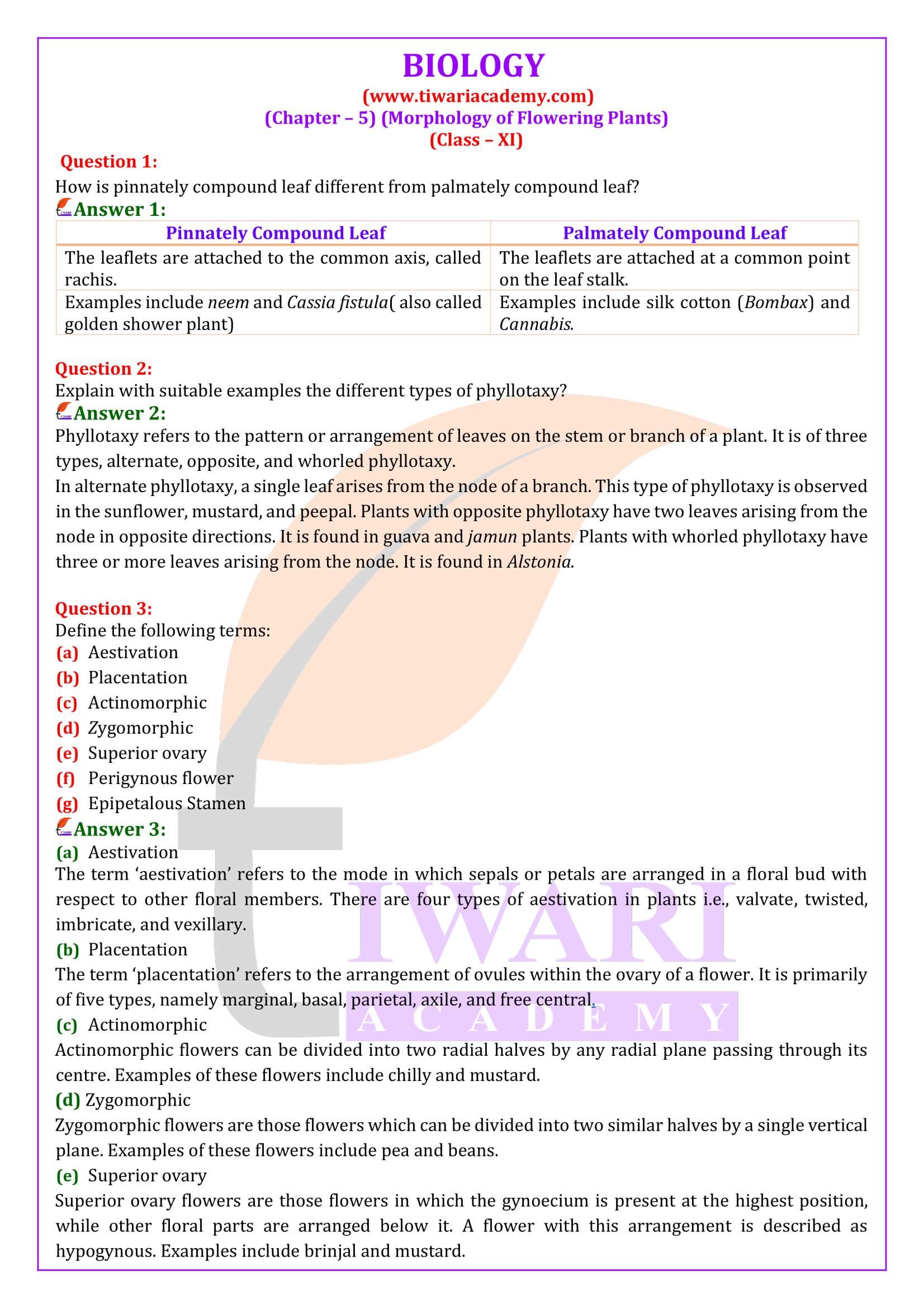 NCERT Solutions for Class 11 Biology Chapter 5 in English Medium