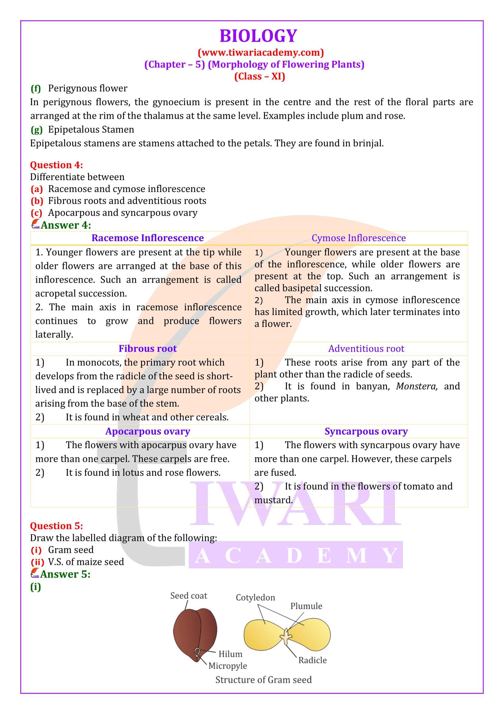 Class 11 Biology Chapter 5