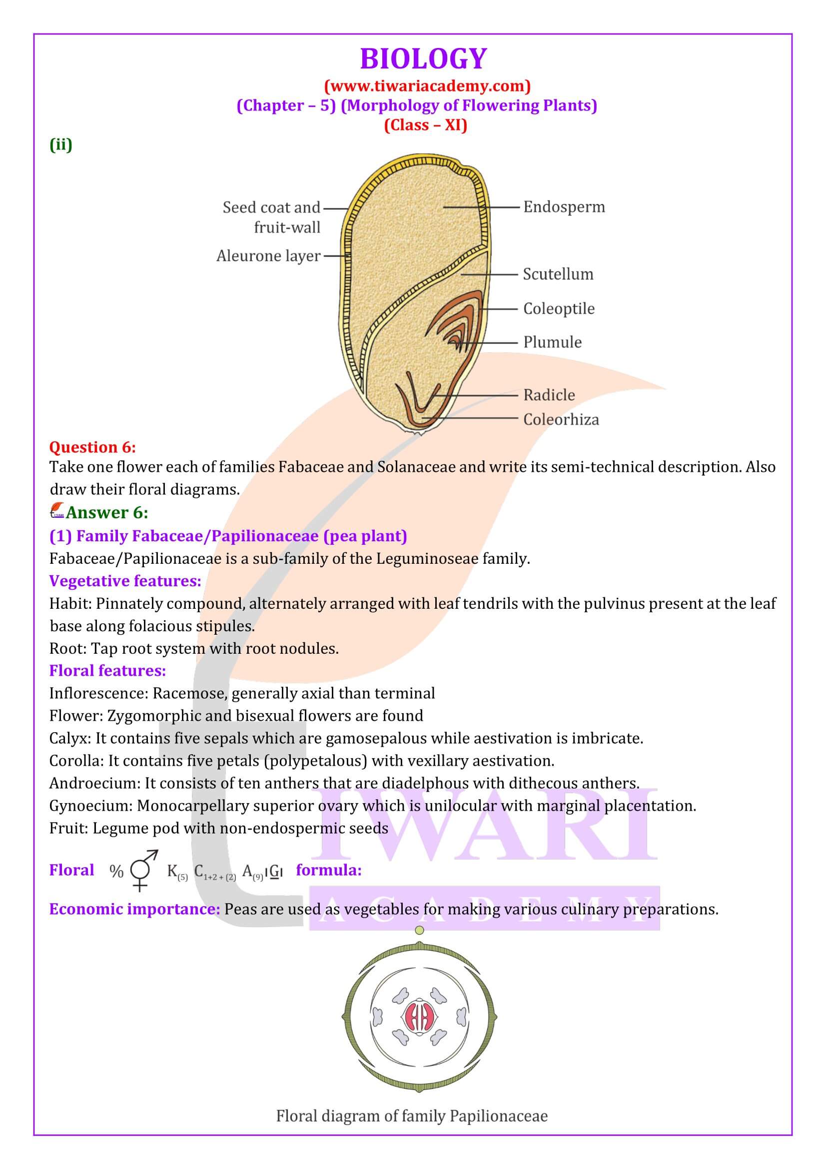 Class 11 Biology Chapter 5 solutions