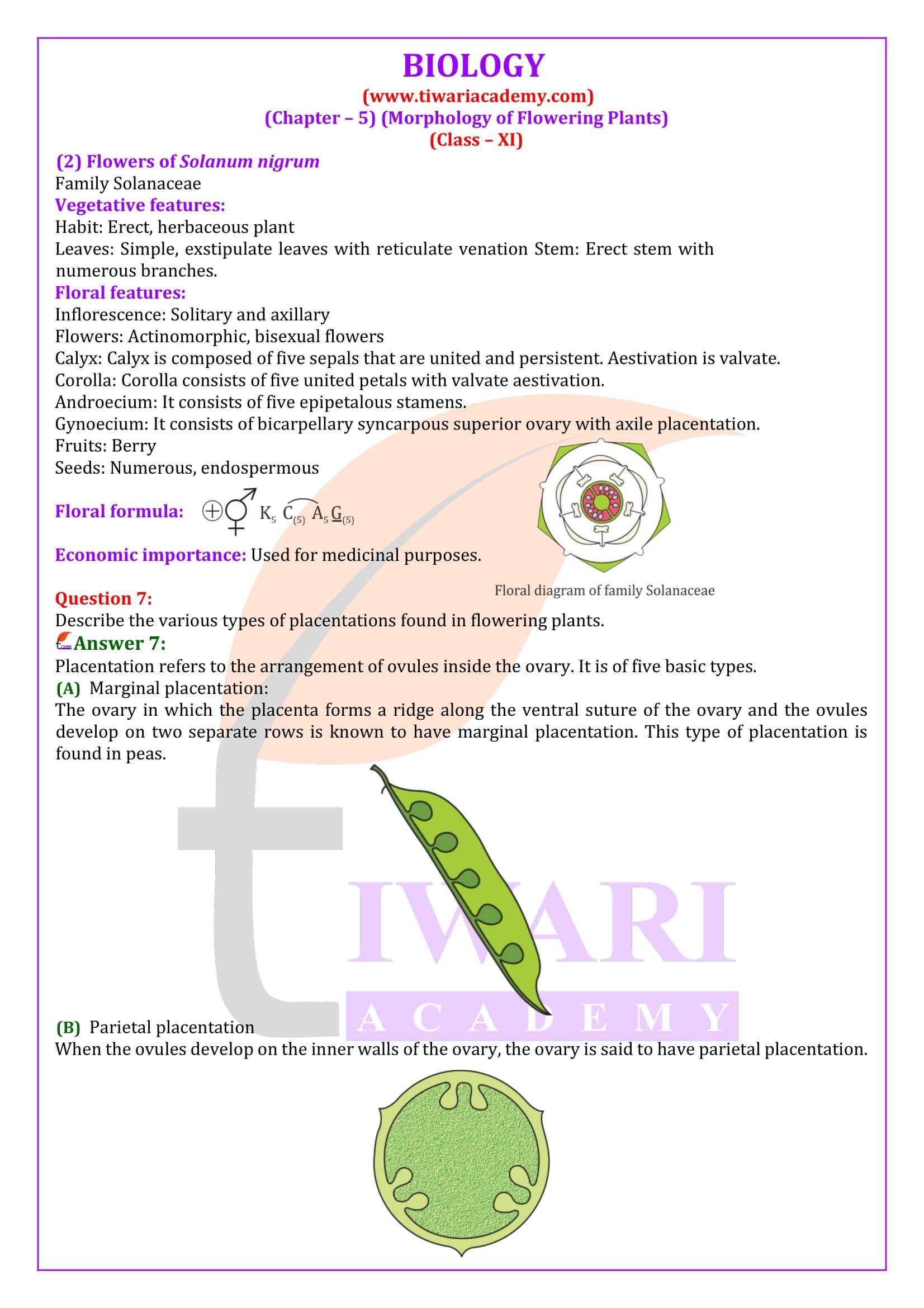 Class 11 Biology Chapter 5 Answers