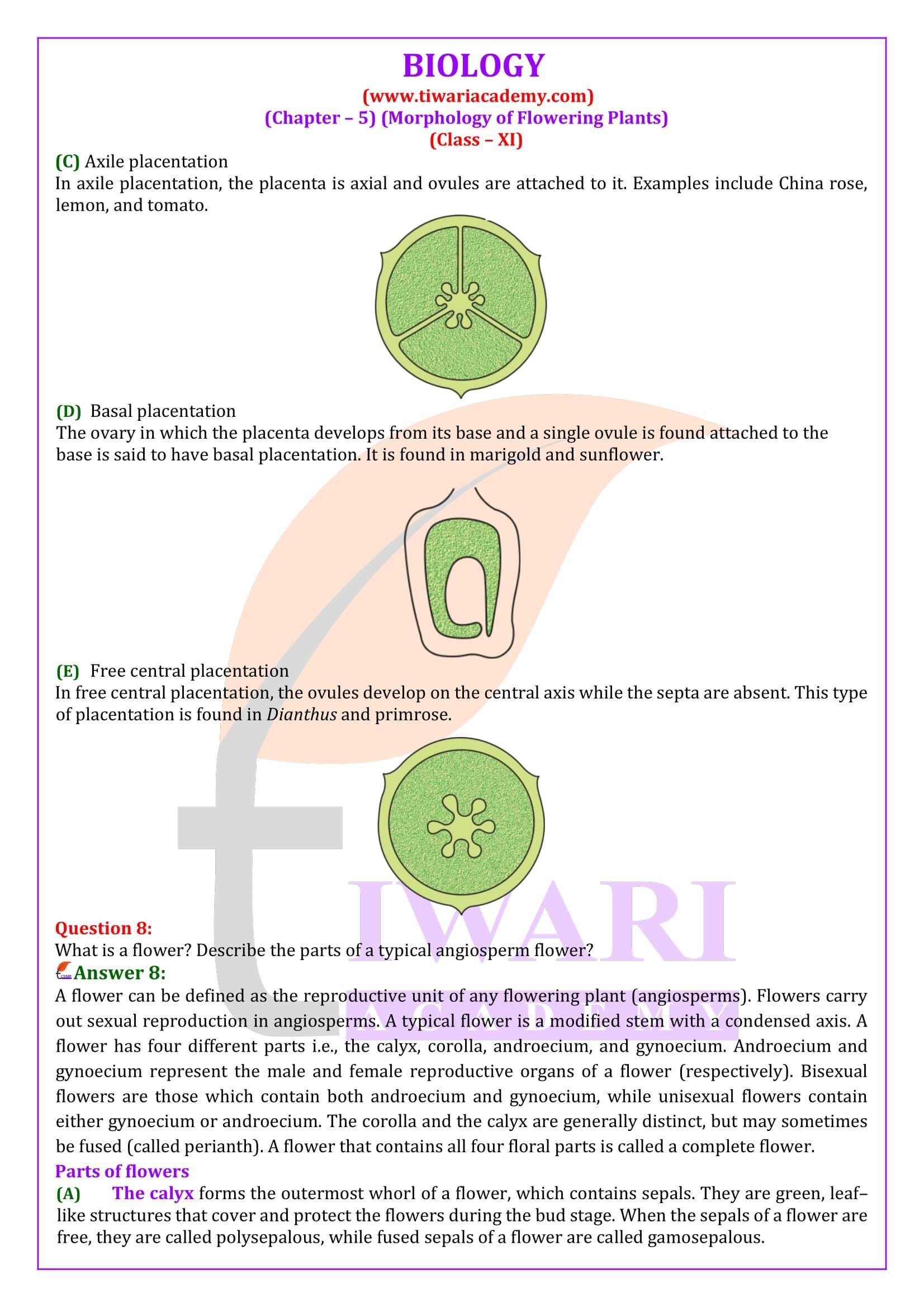 case study questions class 11 biology chapter 5