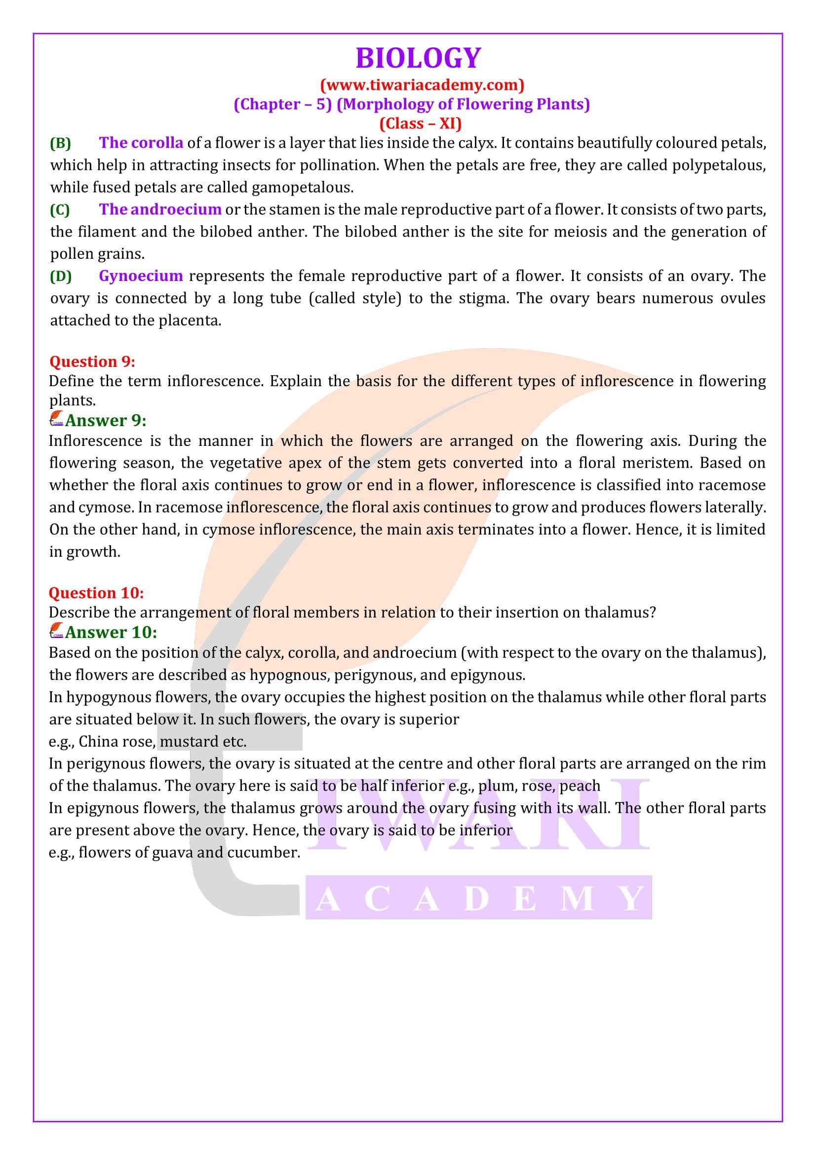 Class 11 Biology Chapter 5 Exercise solutions