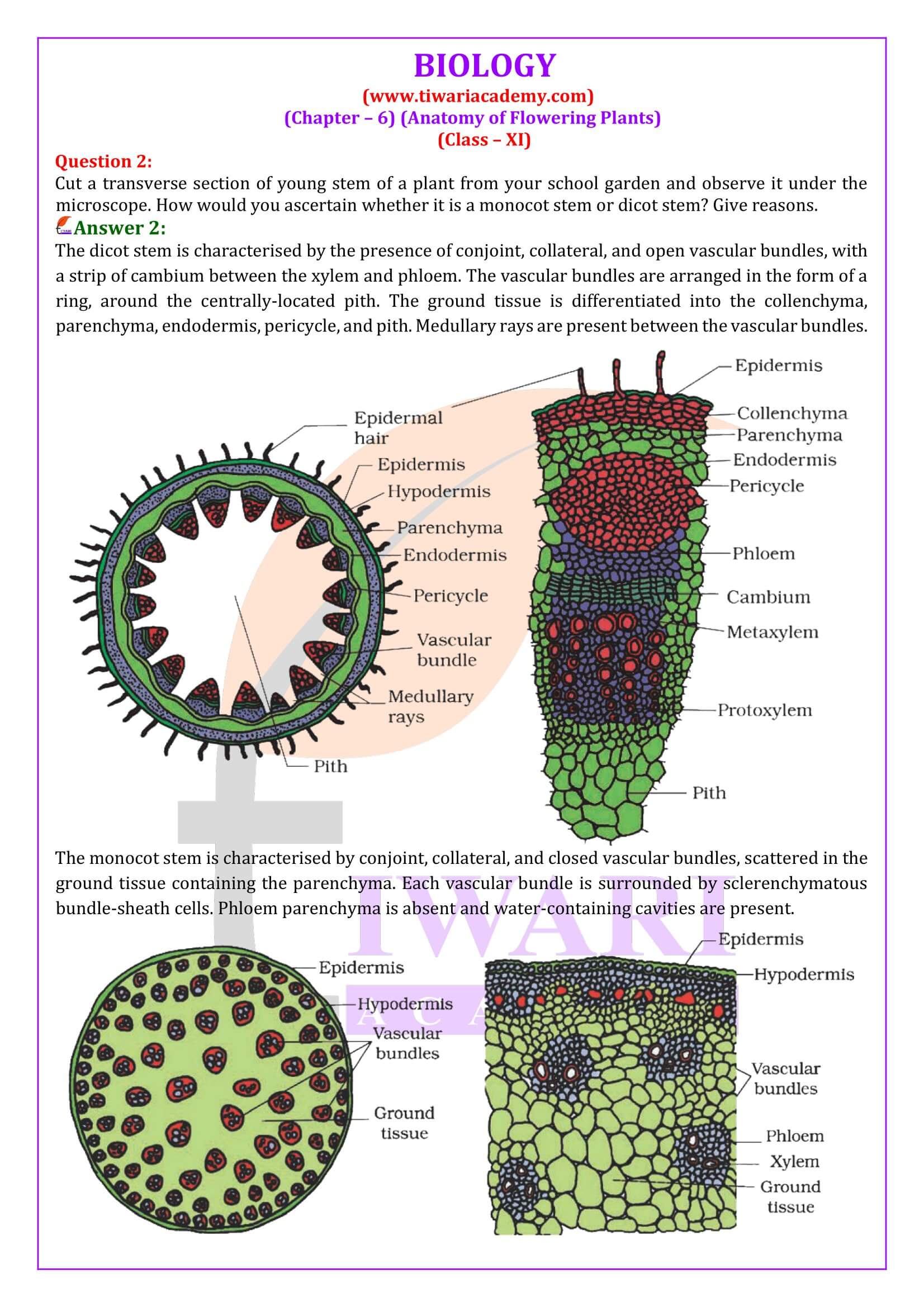 Class 11 Biology Chapter 6