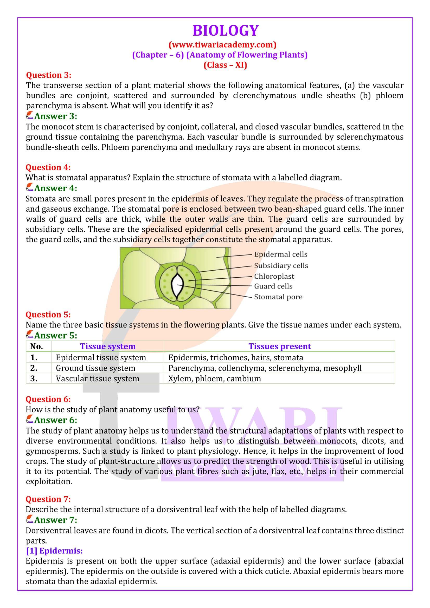 Class 11 Biology Chapter 6 Solutions