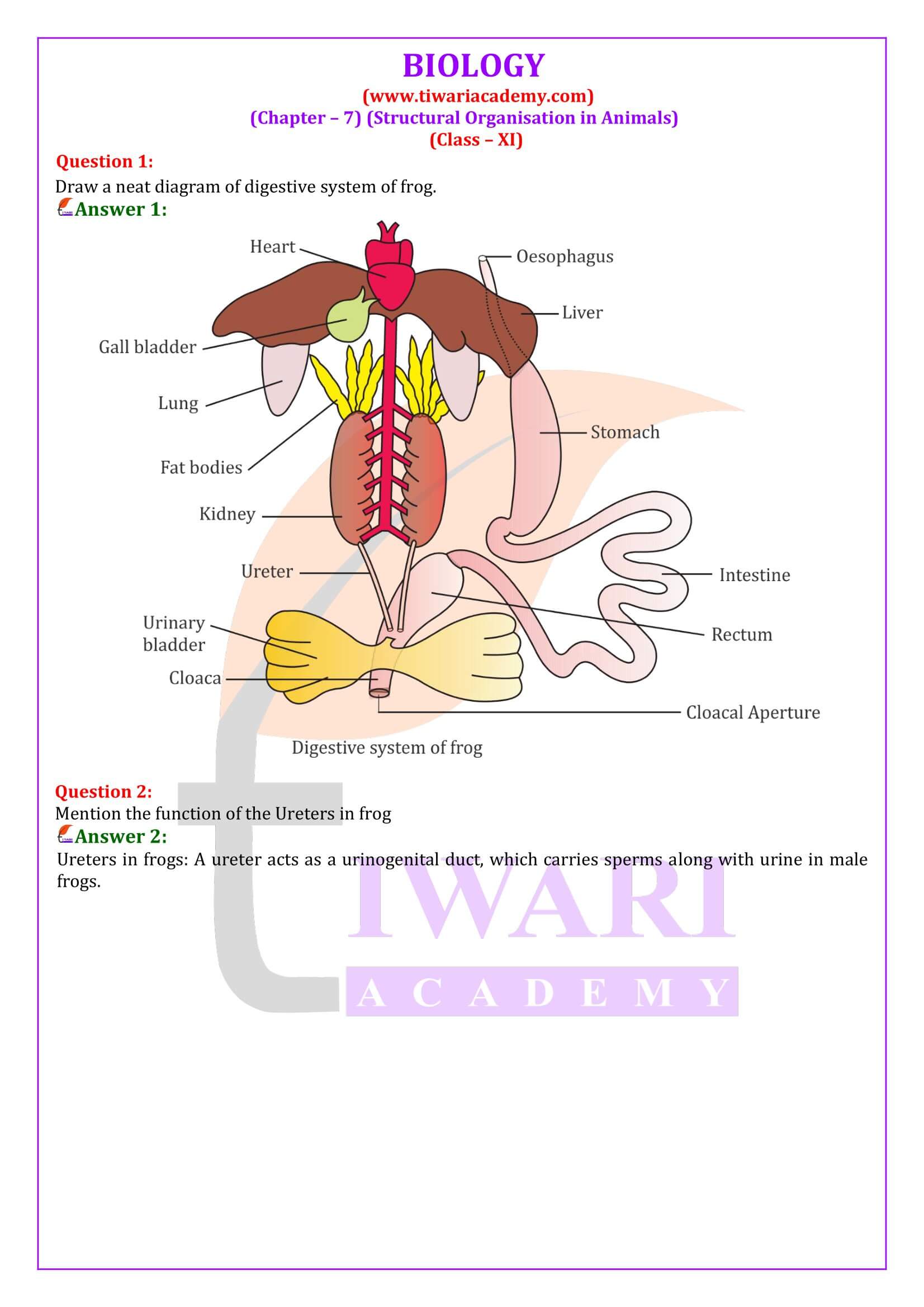 Class 11 Biology Chapter 7