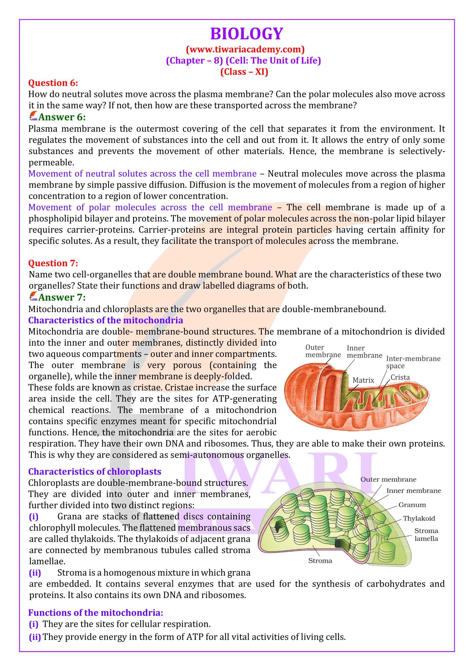 Class 11 Biology Chapter 8