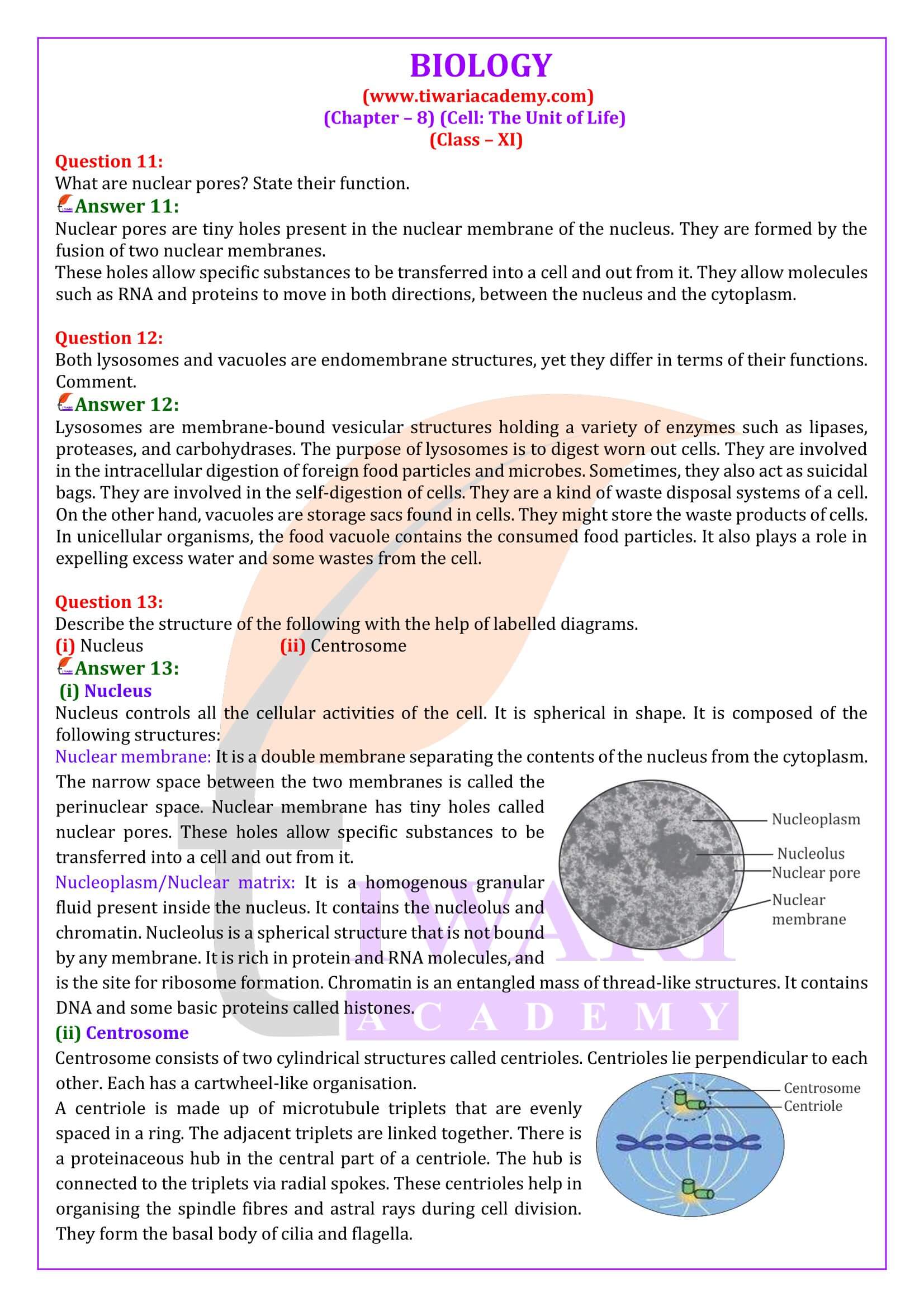 Class 11 Biology Chapter 8 Answers