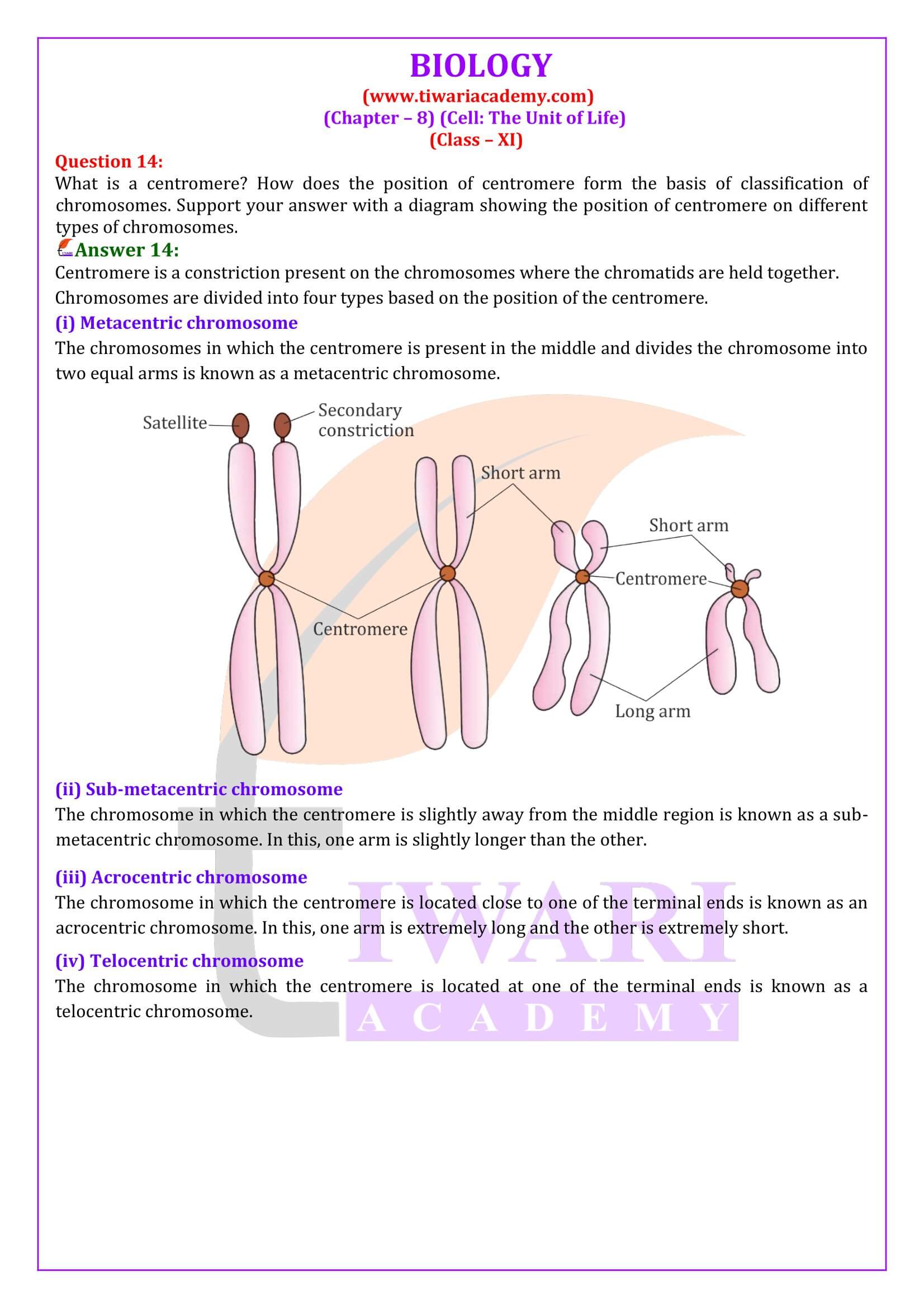 Question answers of Class 11 Biology Chapter 8