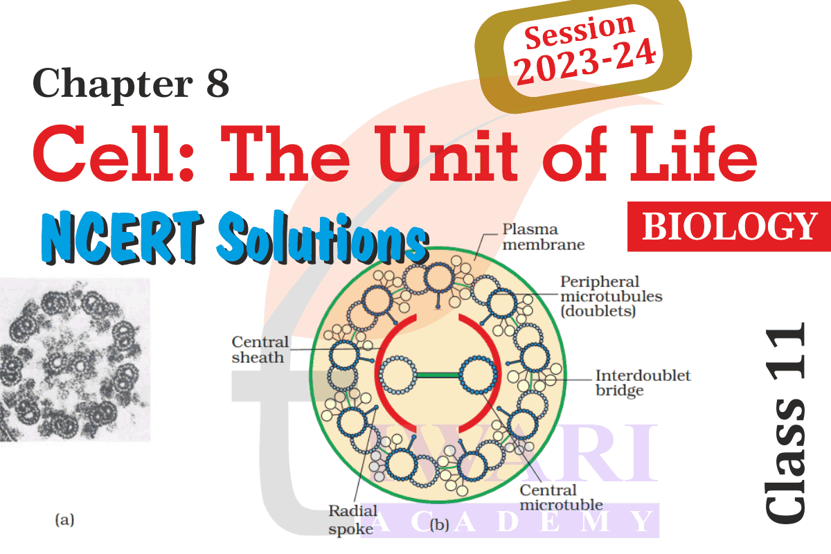 Class 11 Biology Chapter 8 Cell The Unit of Life