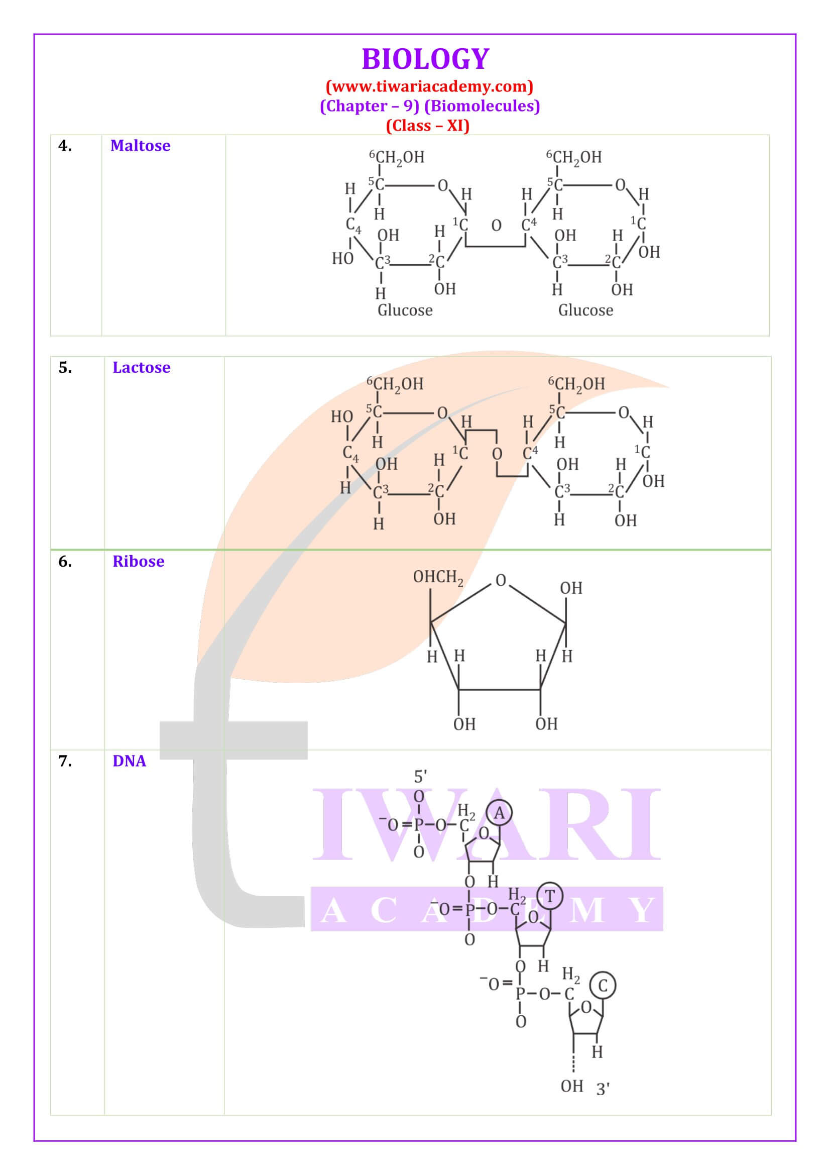 Class 11 Biology Chapter 9