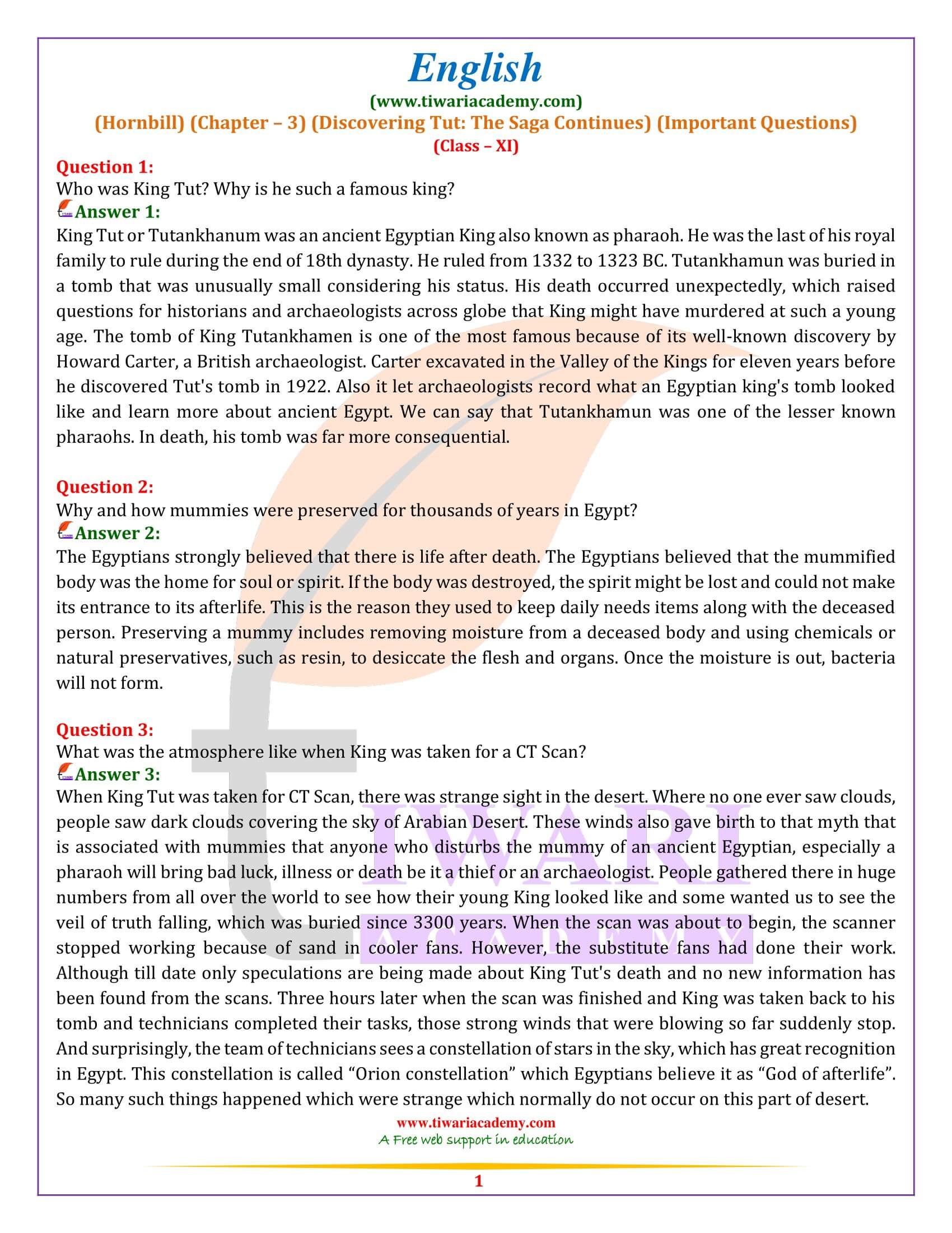 Class 11 English Hornbill Chapter 3 Important Questions