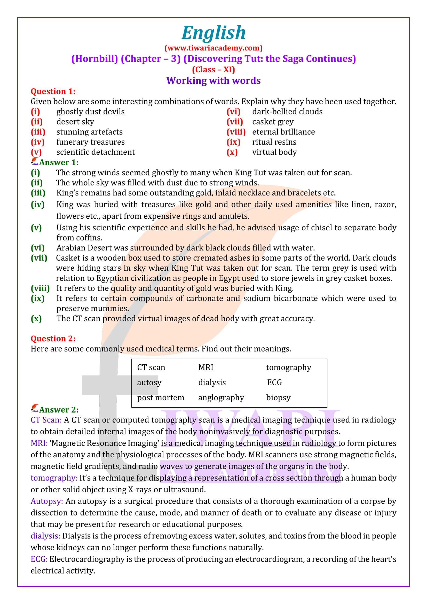 Class 11 English Hornbill Chapter 3 Question Answers