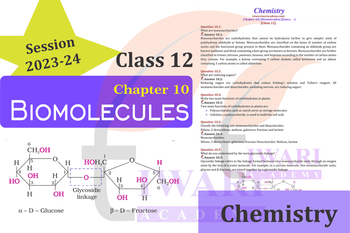 Class 12 Chemistry Chapter 10 Biomolecules