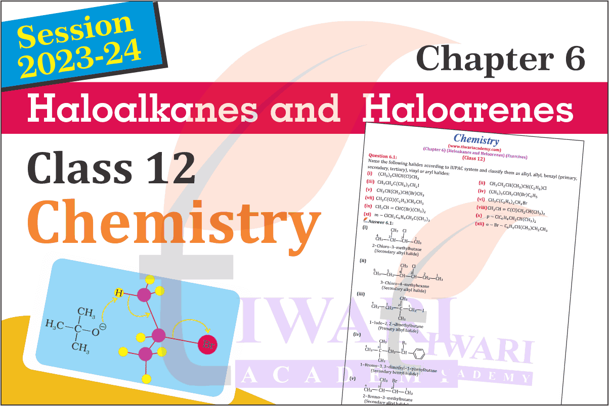 Class 12 Chemistry Chapter 6 Haloalkanes and Haloarenes