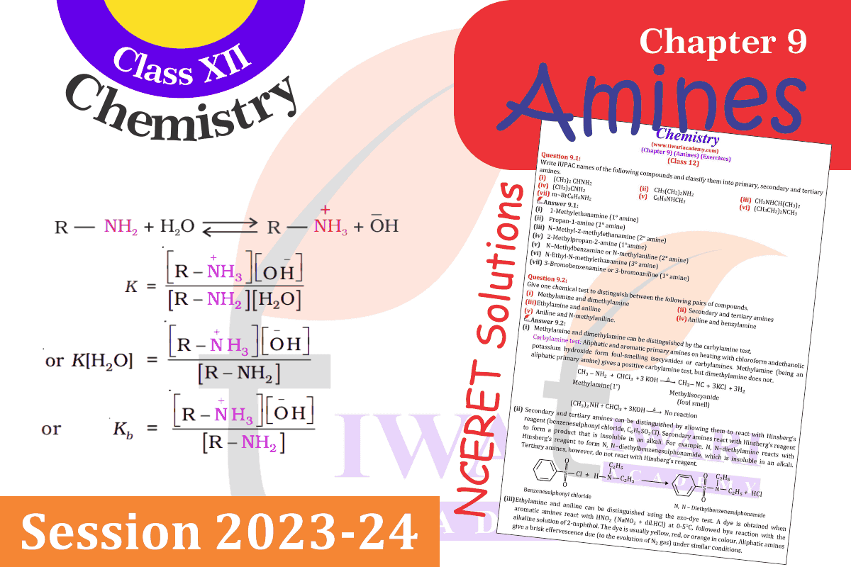 Class 12 Chemistry Chapter 9 Amines