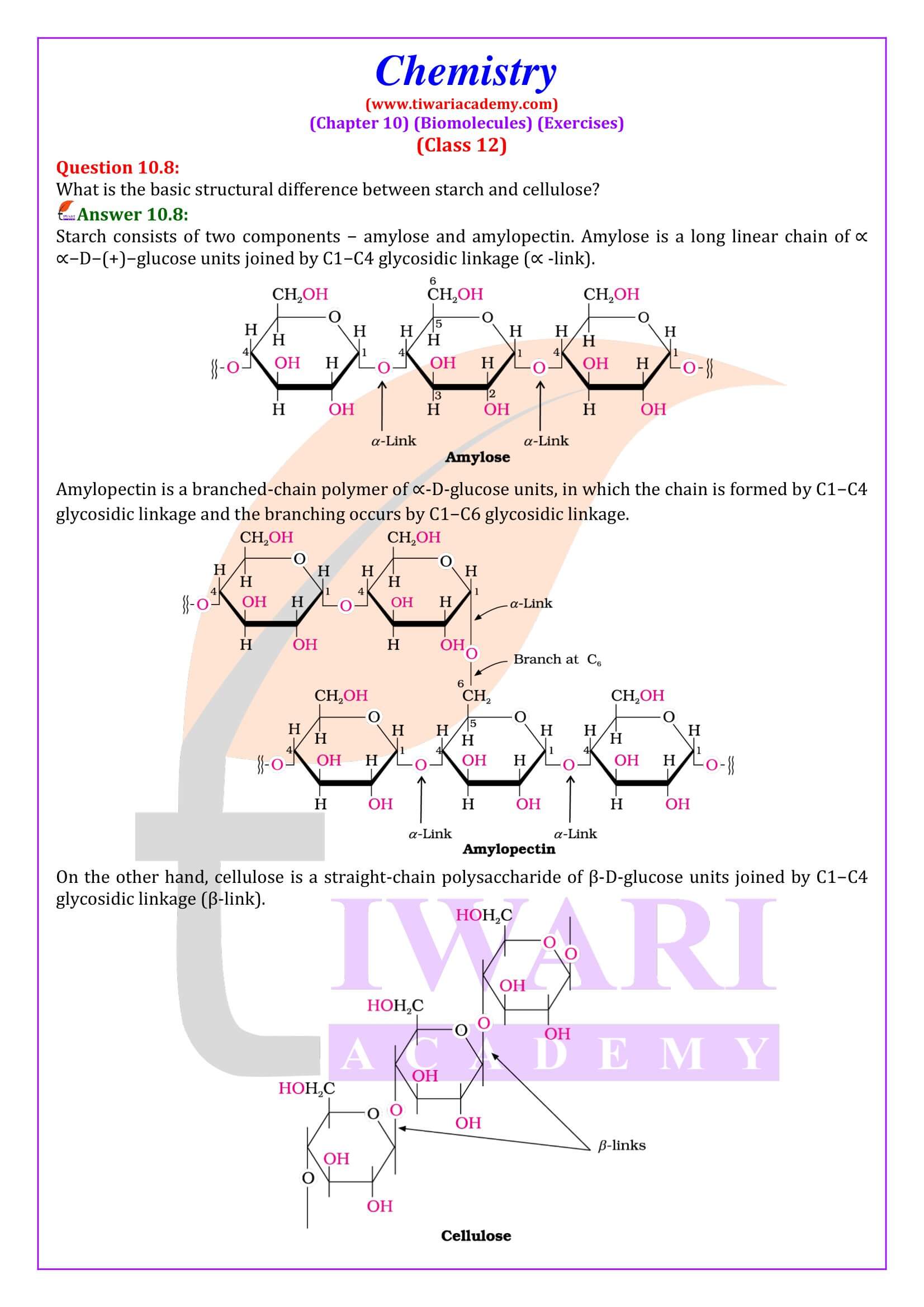 NCERT Solutions for Class 12 Chemistry Chapter 10 in English Medium