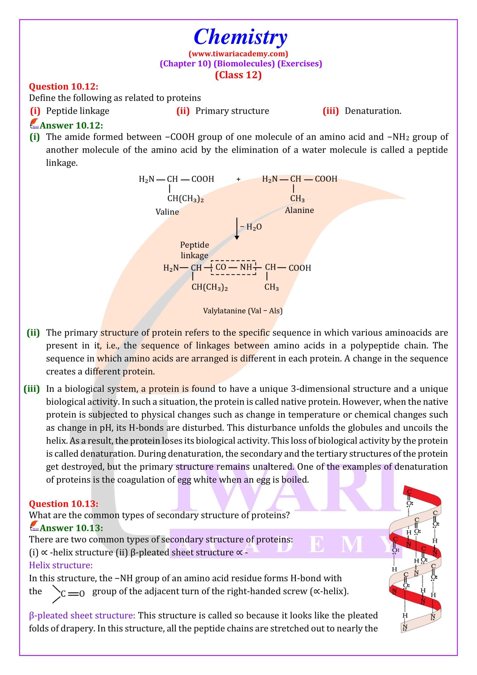 NCERT Solutions for Class 12 Chemistry Chapter 10 Answers in English