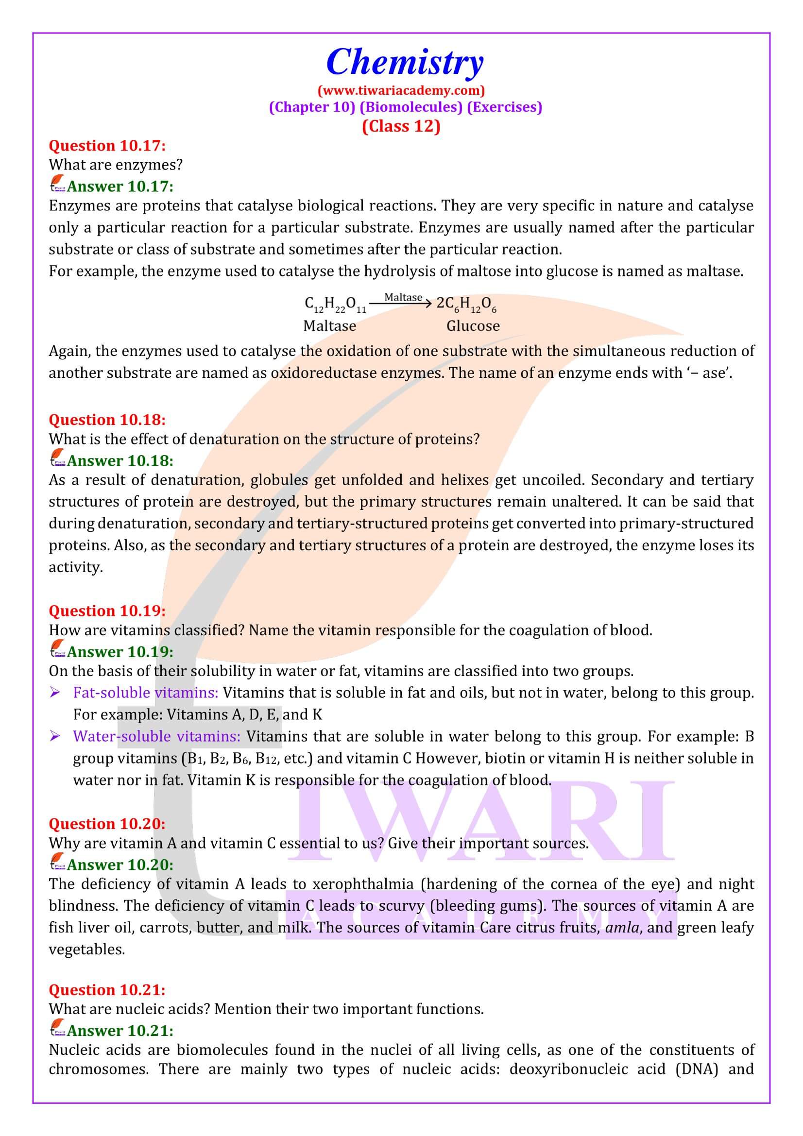 Class 12 Chemistry Chapter 10 Exercises